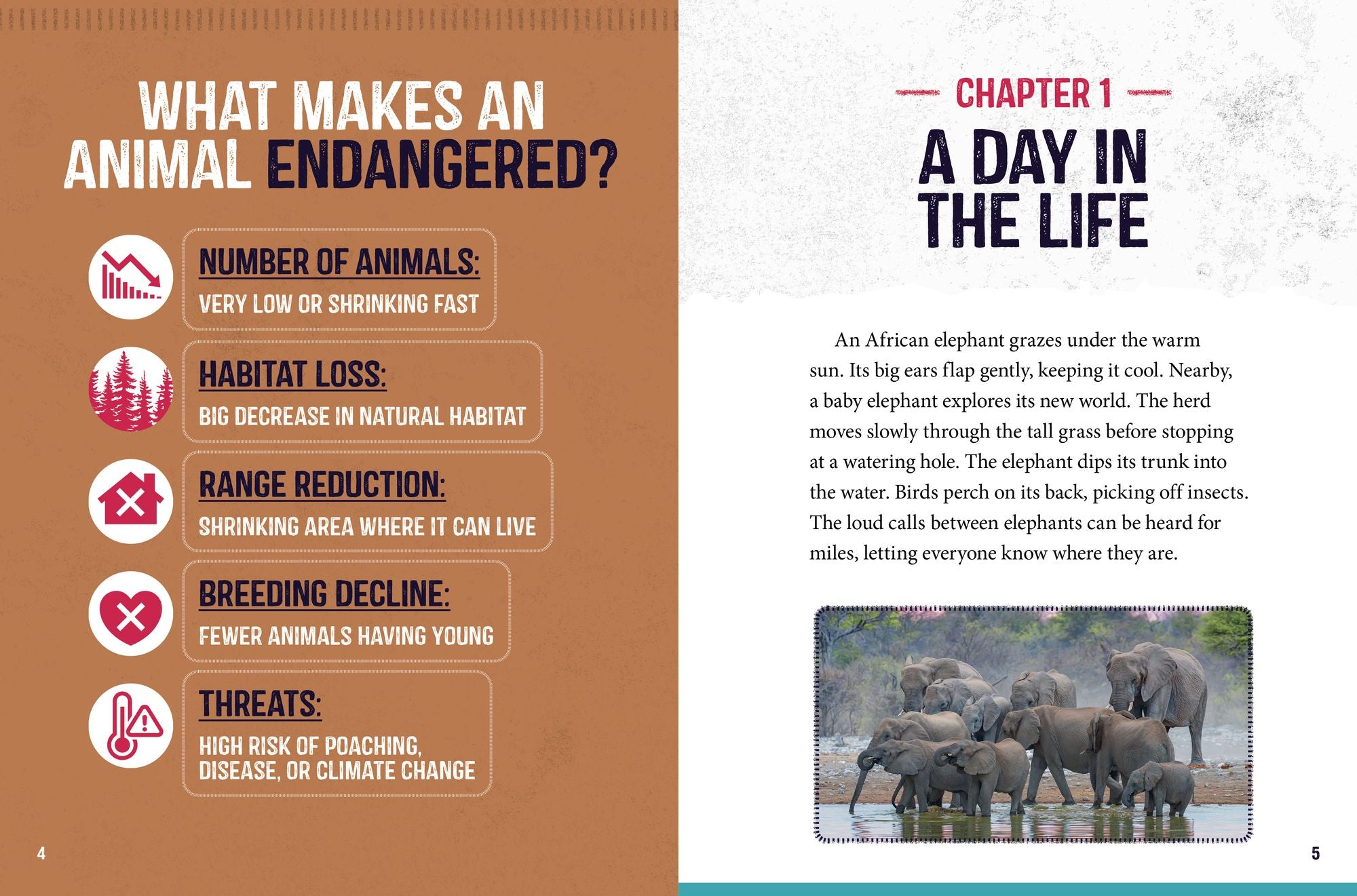 African Elephants at Risk: Saving These Majestic Mammals
