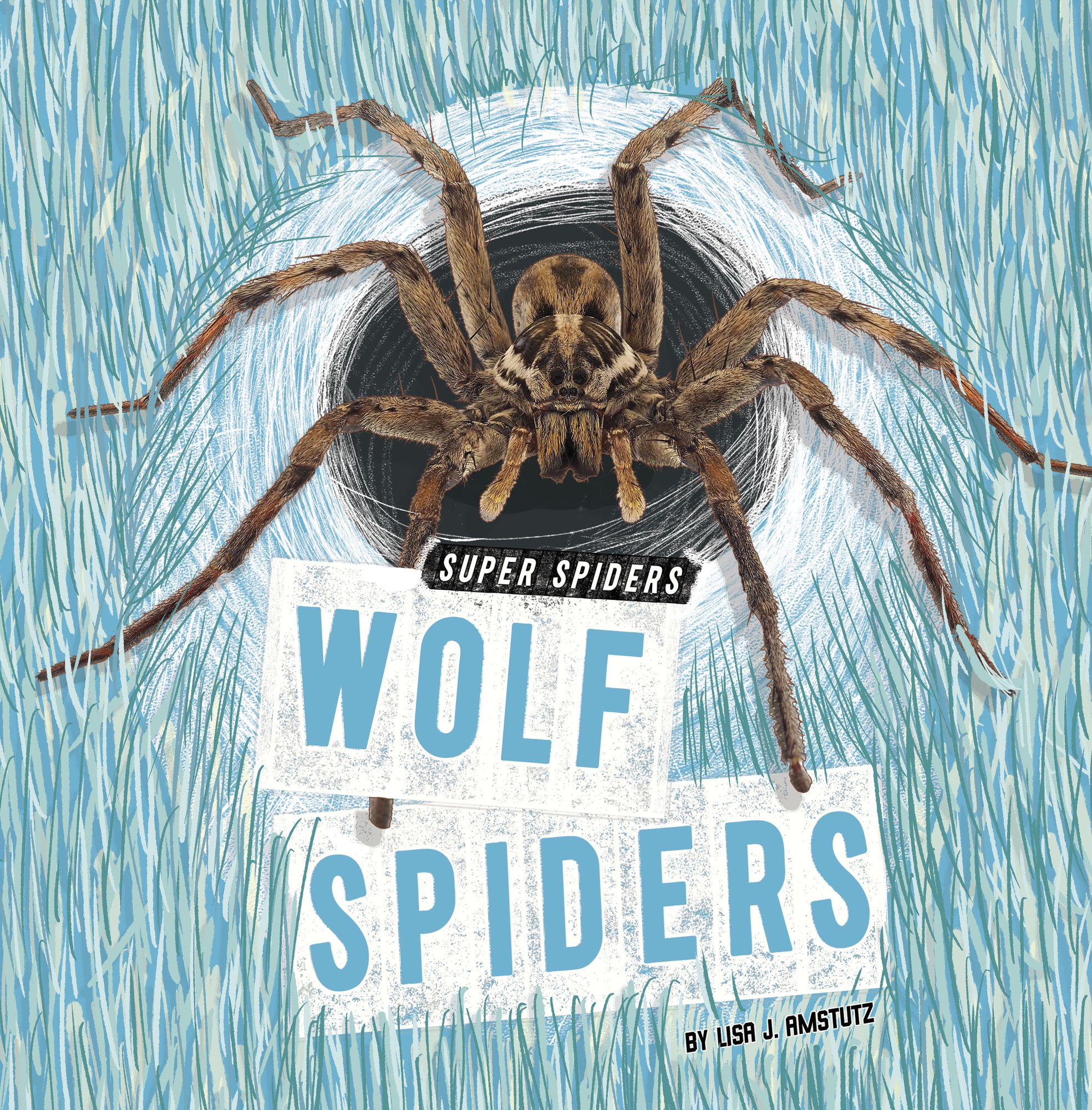 Wolf Spiders