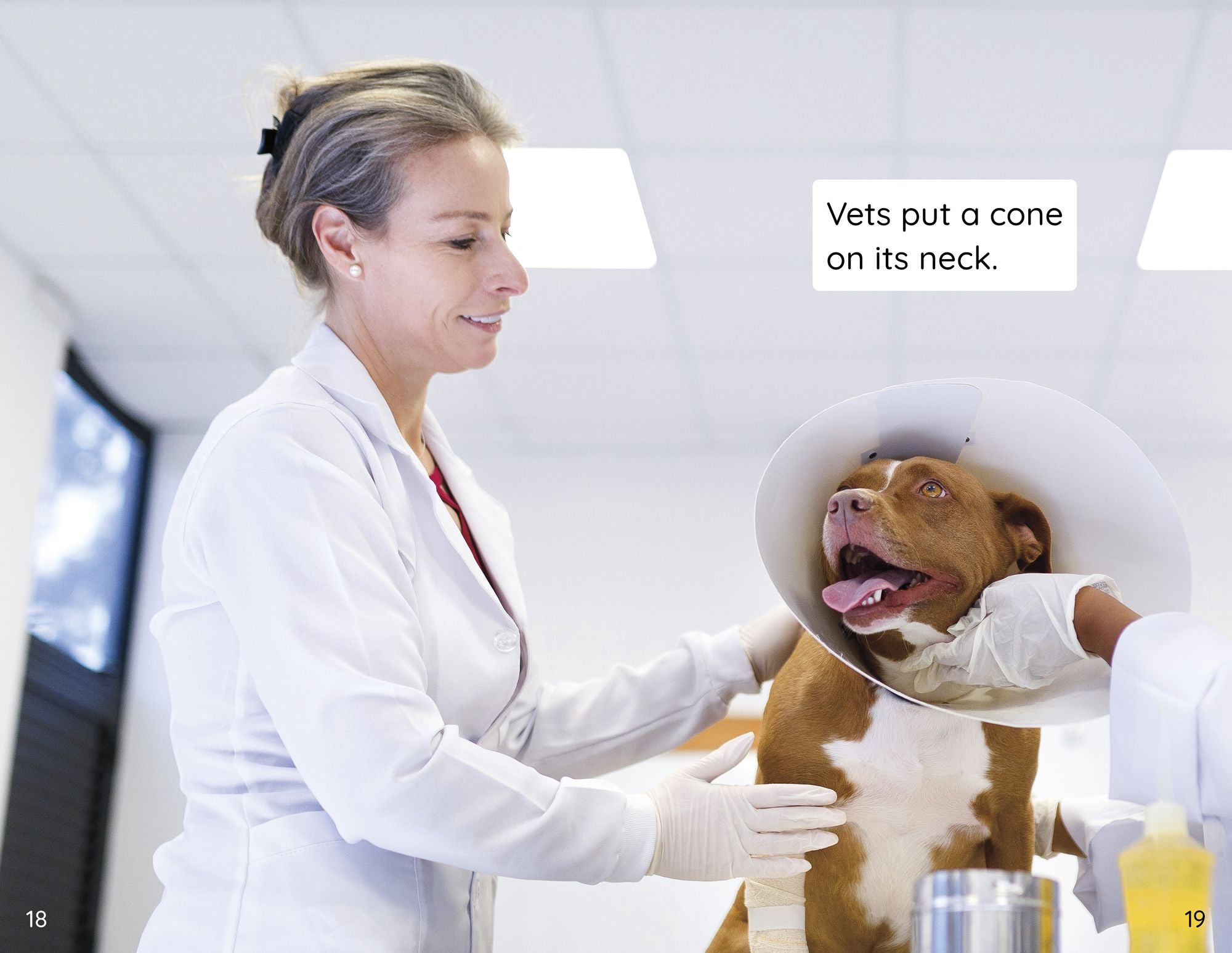 My Pet at the Vet