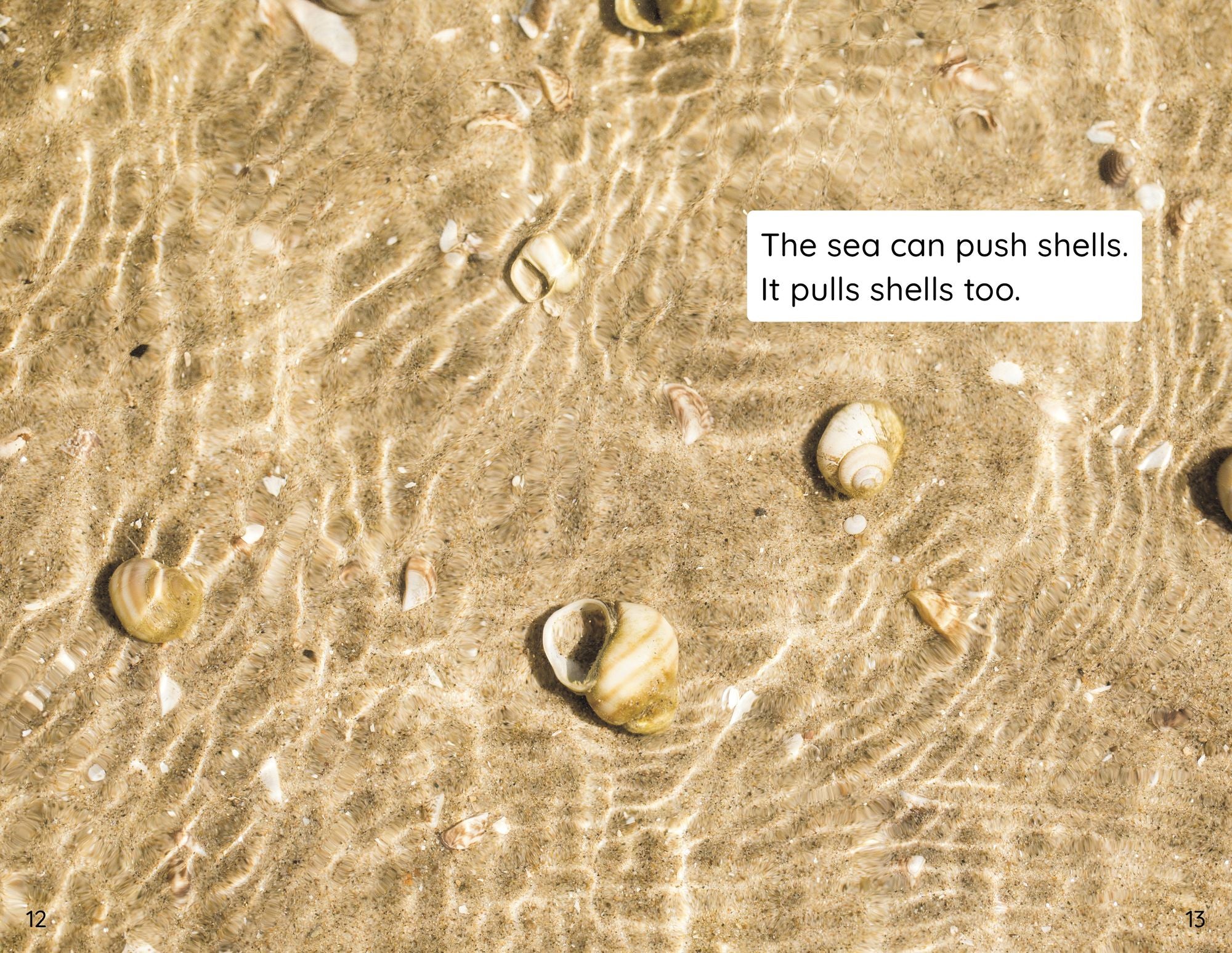 Shells