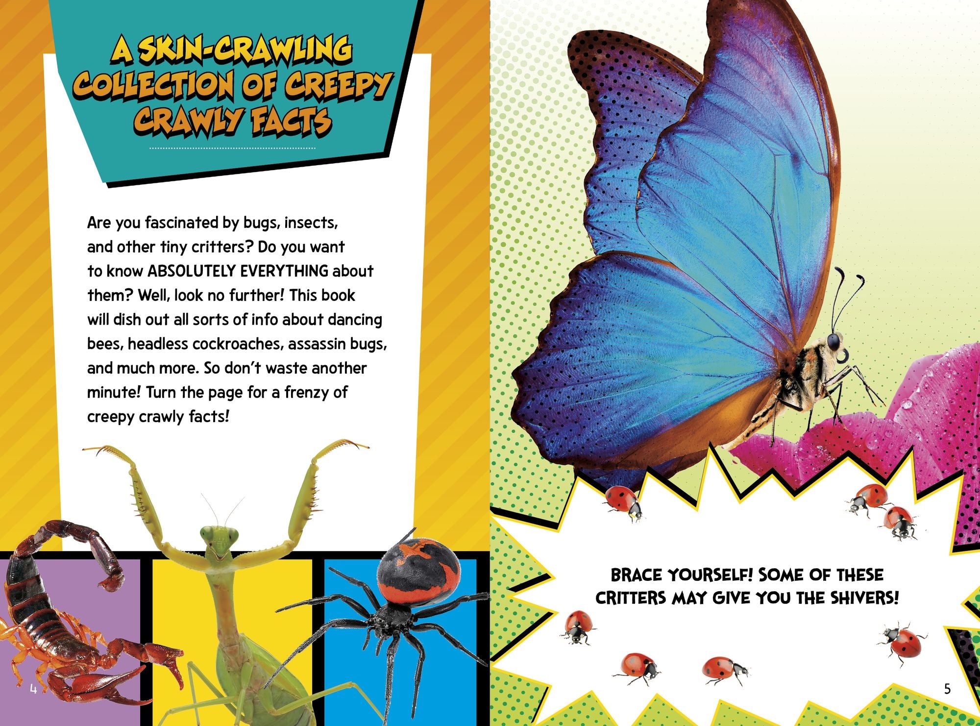 Creepy Crawly Fact Frenzy!