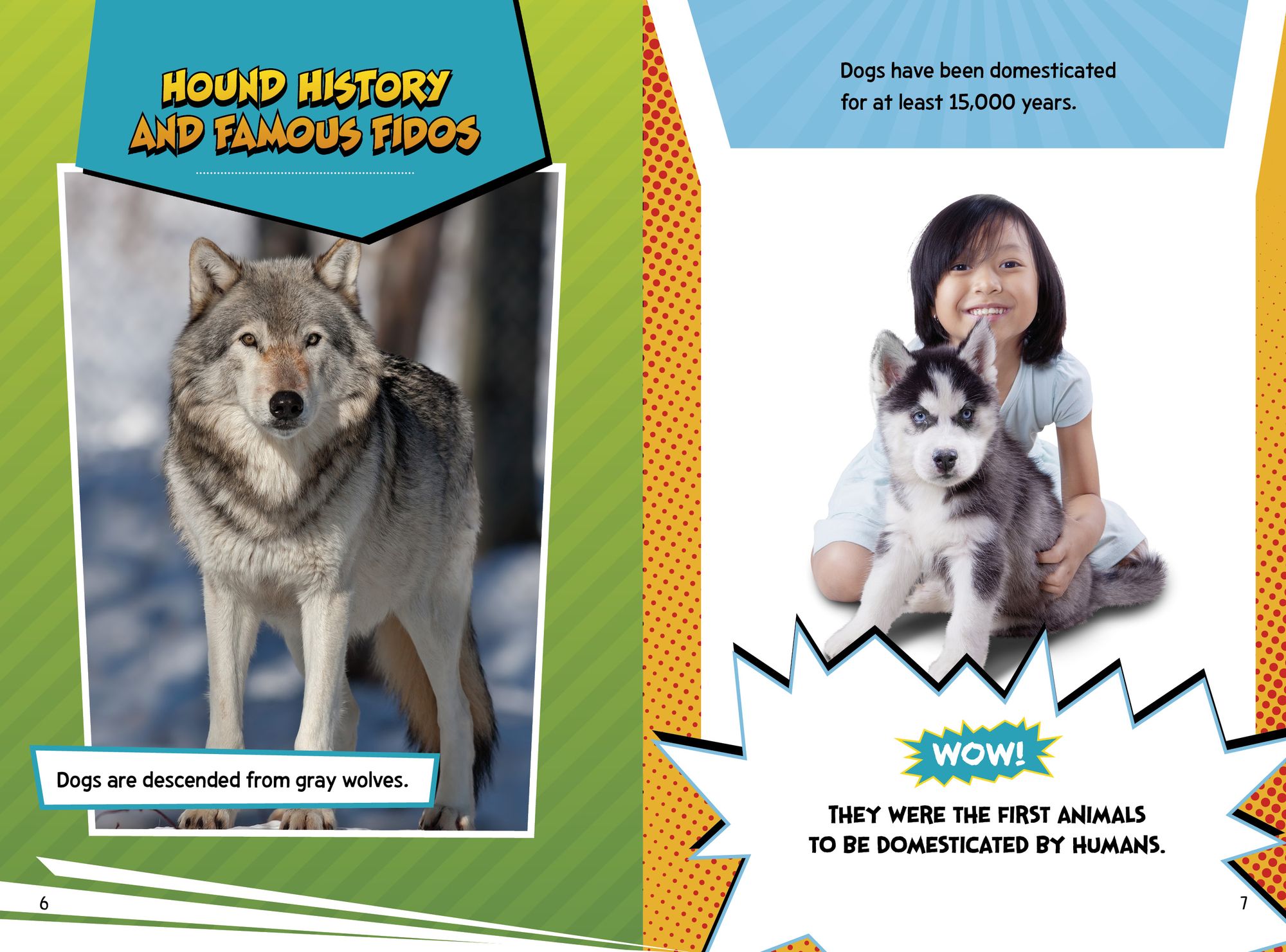 Dog Fact Frenzy!