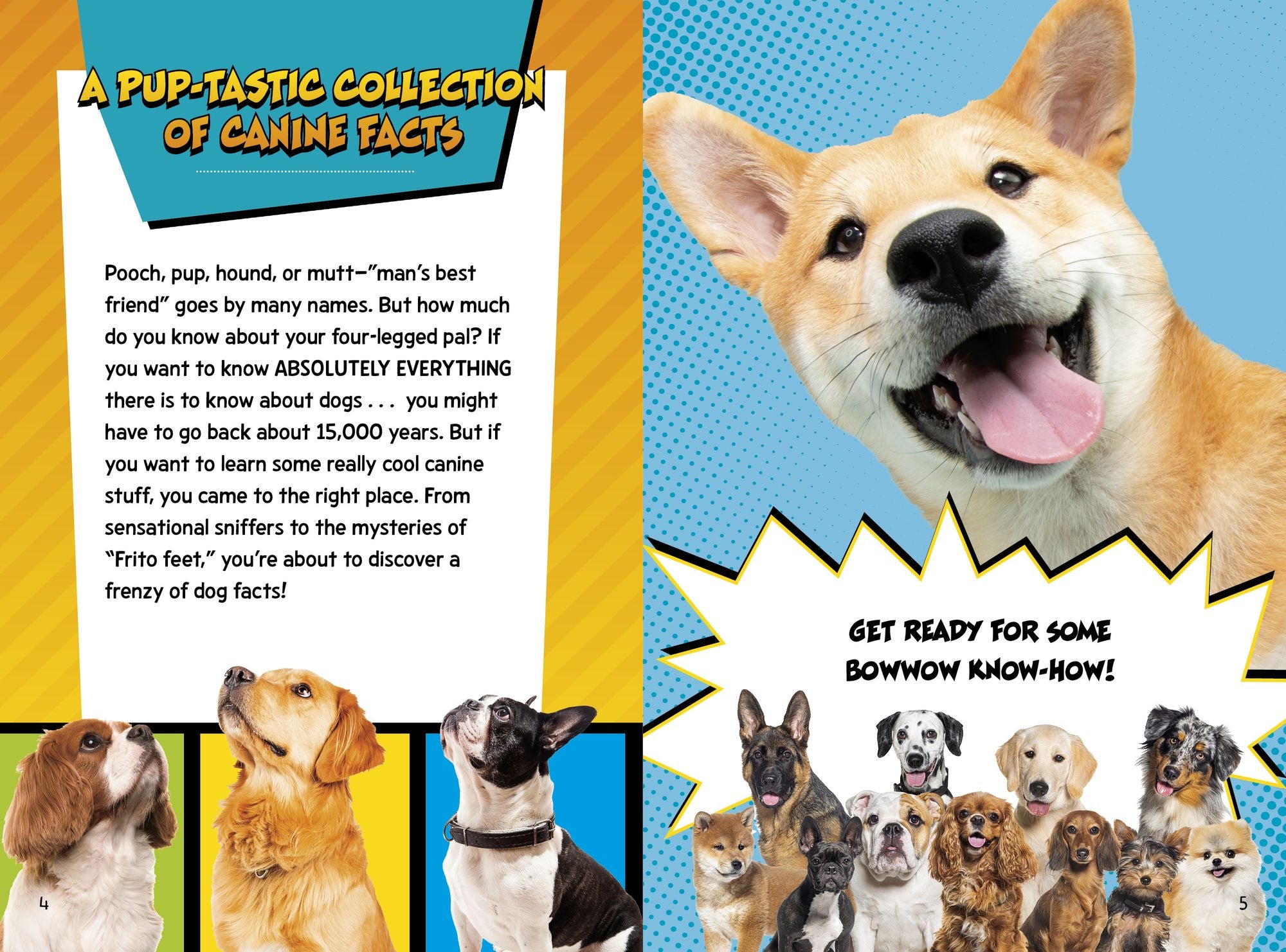 Dog Fact Frenzy!