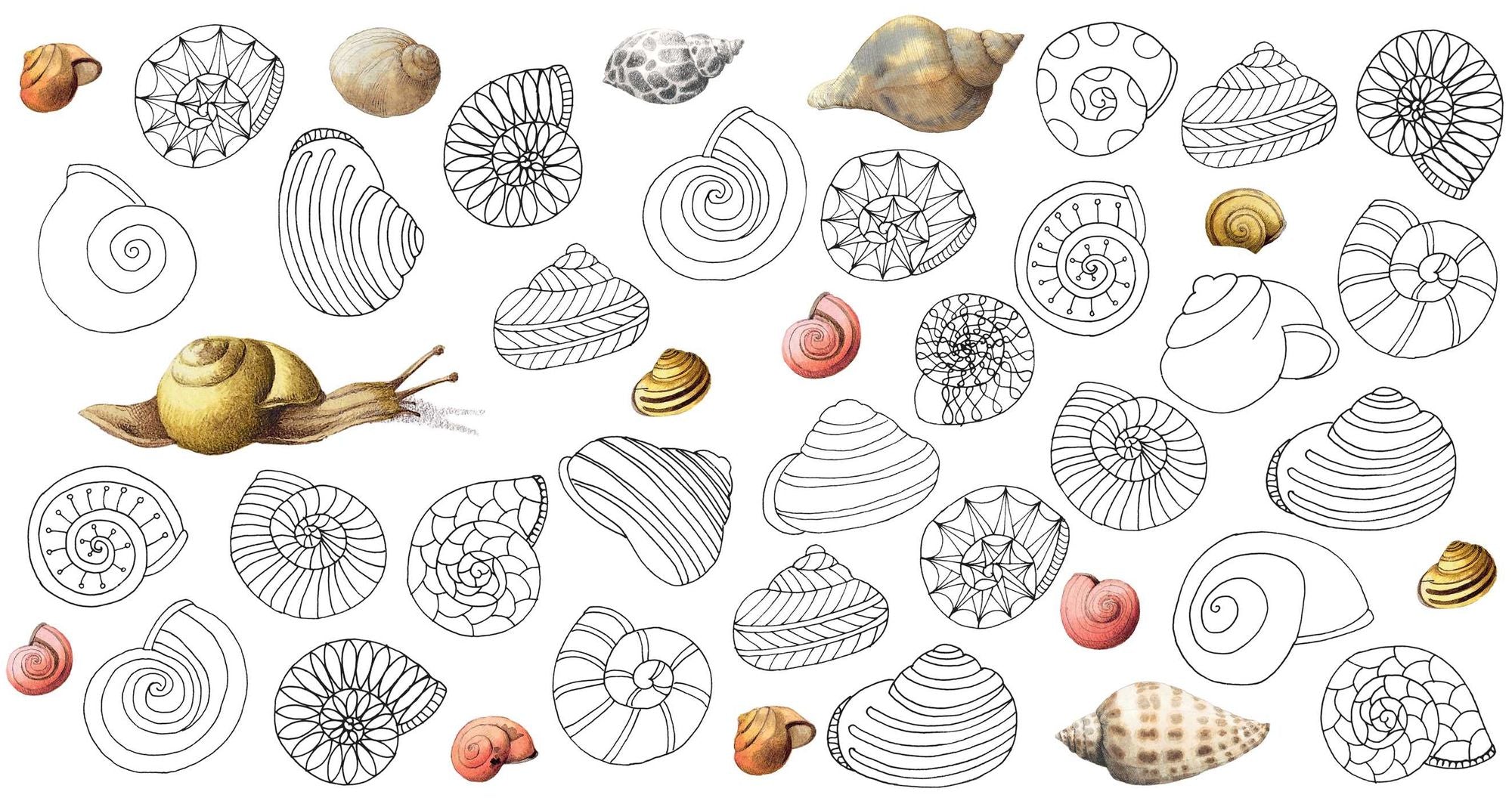 Magical Nature: Coloring Pages for Relaxation and Happiness