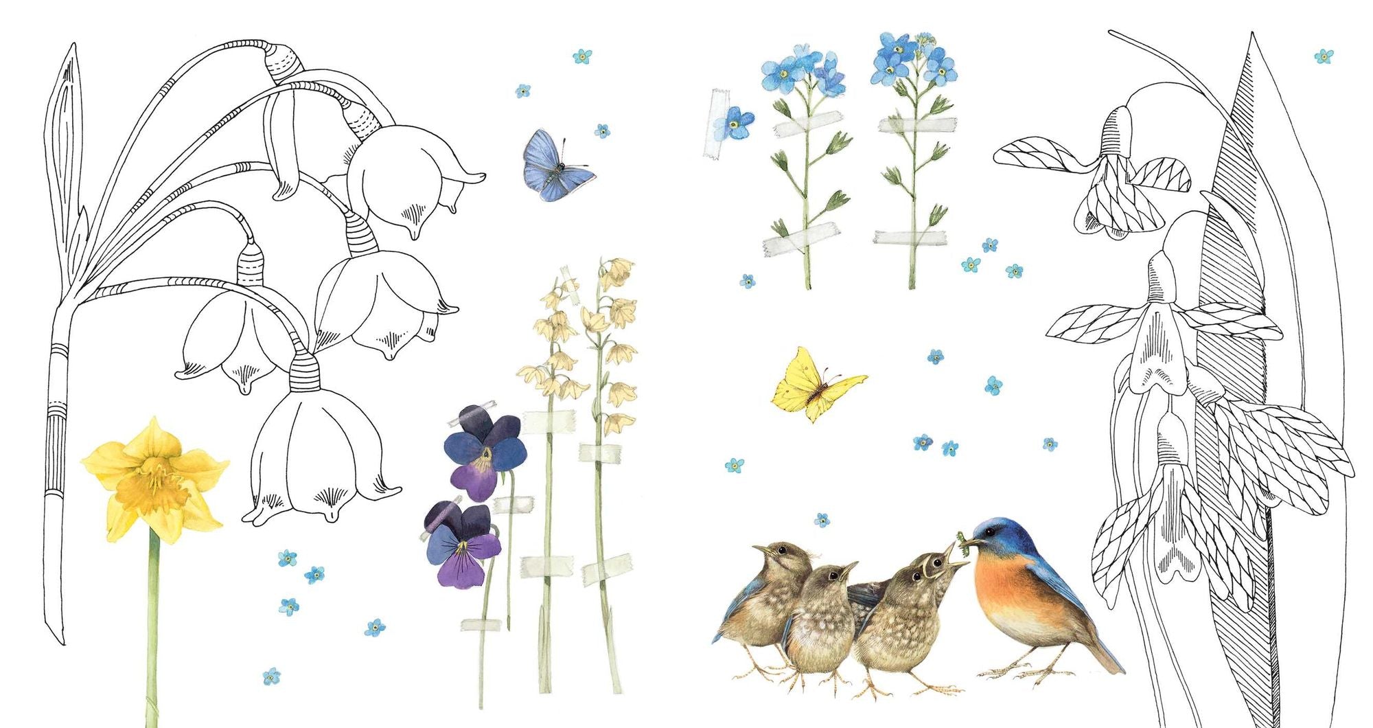 Magical Nature: Coloring Pages for Relaxation and Happiness