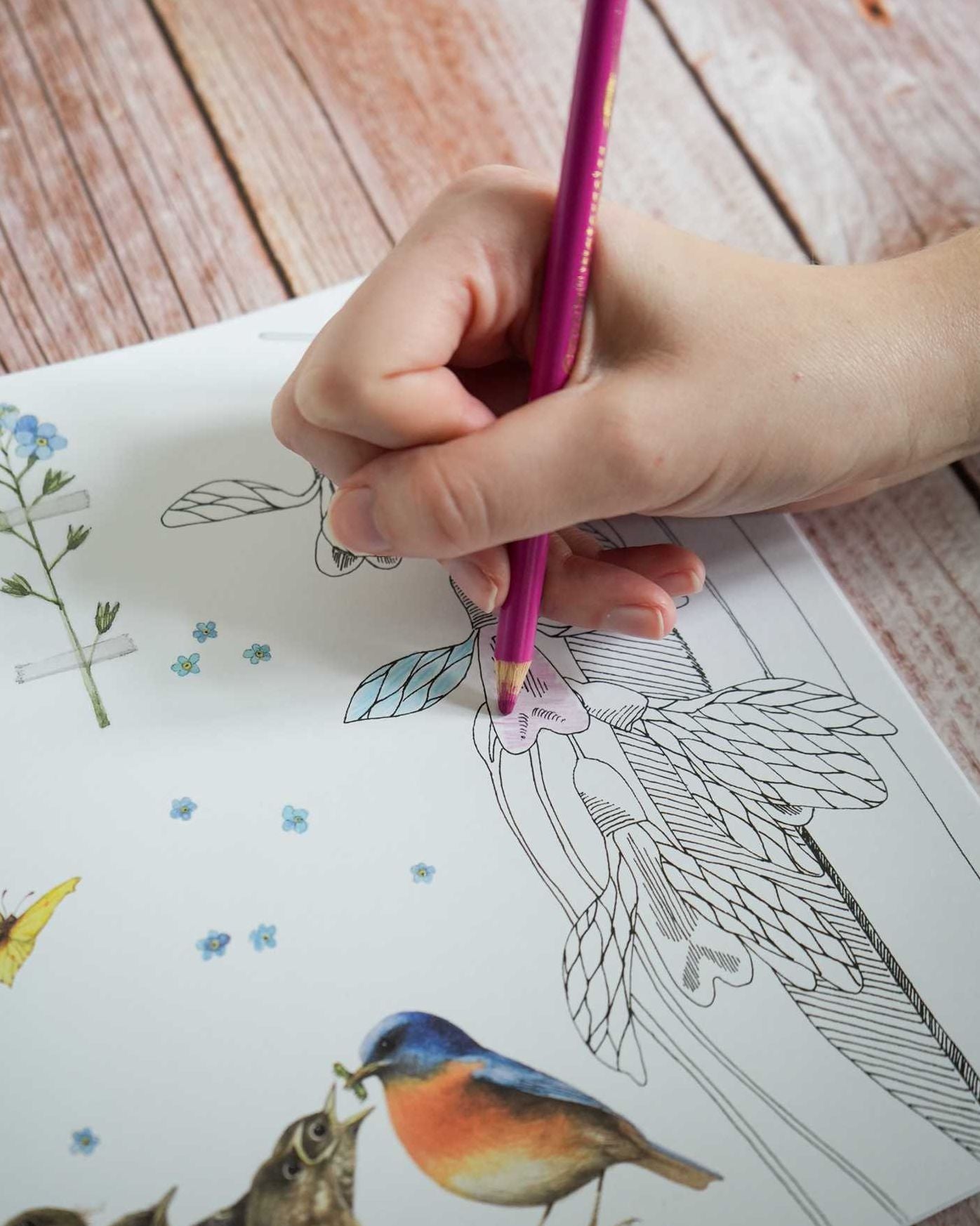 Magical Nature: Coloring Pages for Relaxation and Happiness