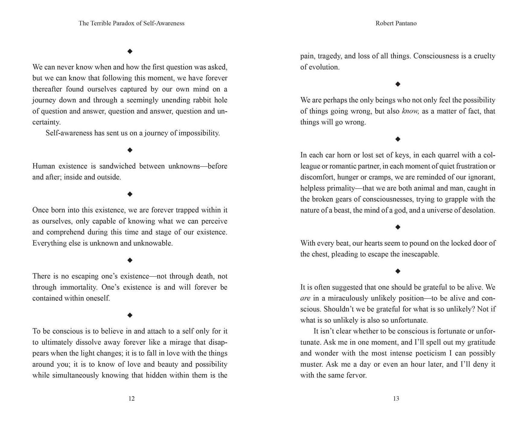 The Terrible Paradox of Self-Awareness: How Awareness Is the Beginning and End of Suffering