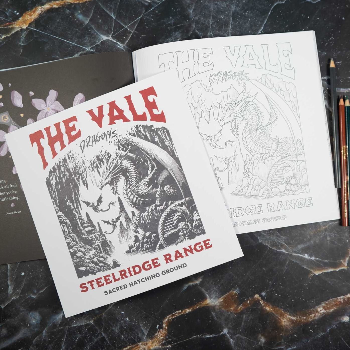 Fourth Wing: The Official Coloring Book