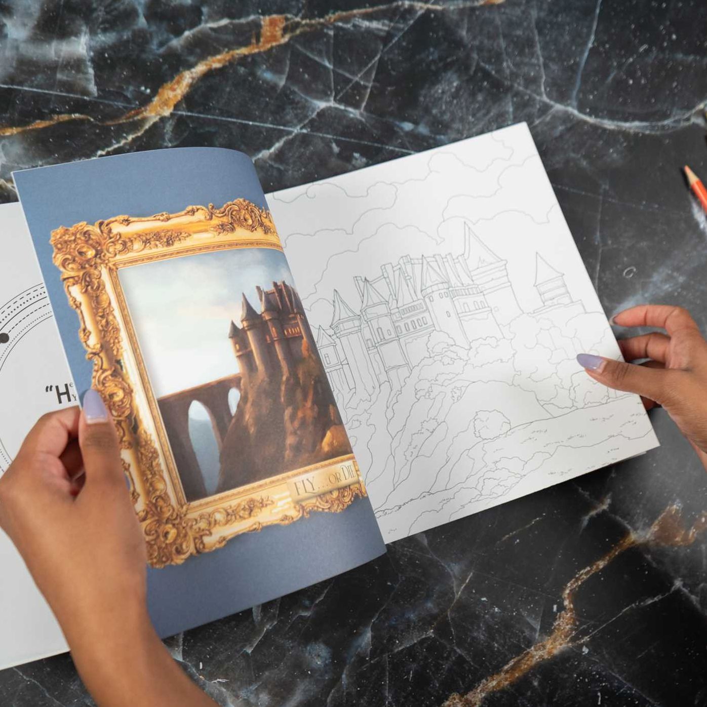 Fourth Wing: The Official Coloring Book