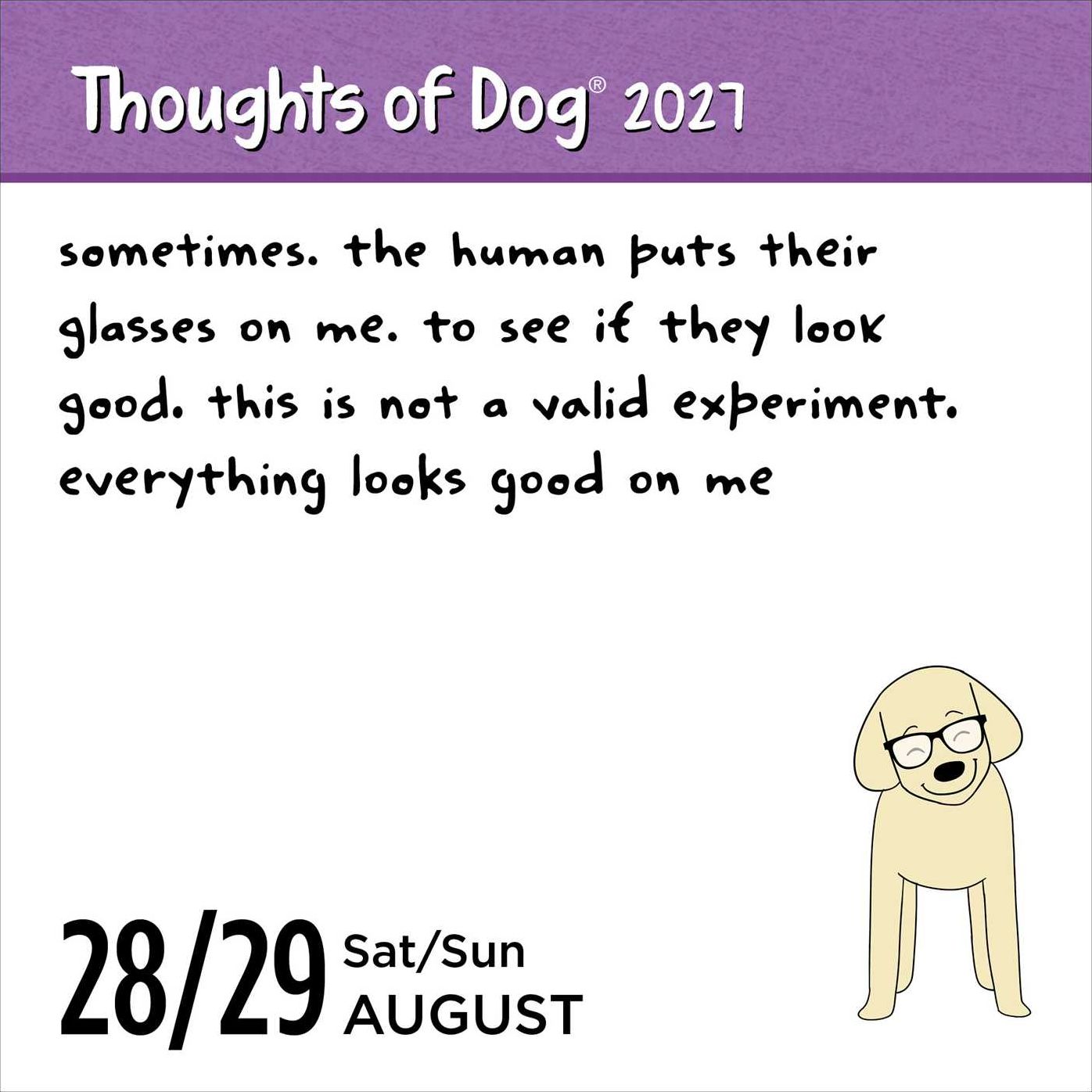 2027 Thoughts of Dog Day-to-Day Calendar