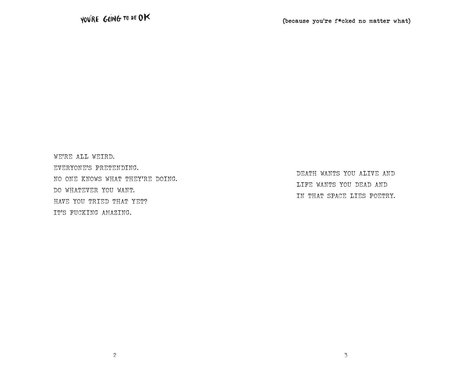 You're Going to Be OK: (Because You're F*cked No Matter What)