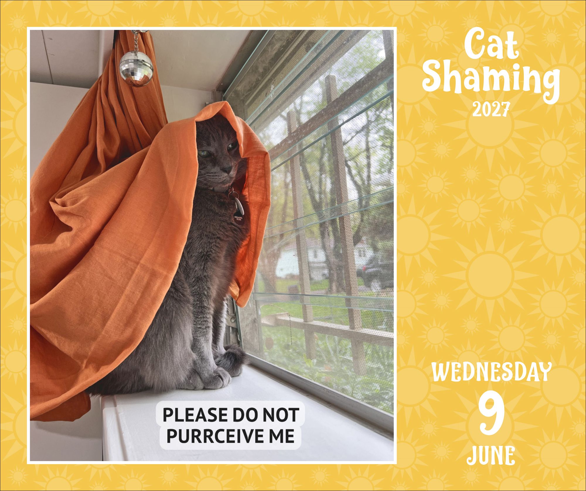 2027 Cat Shaming Day-to-Day Calendar