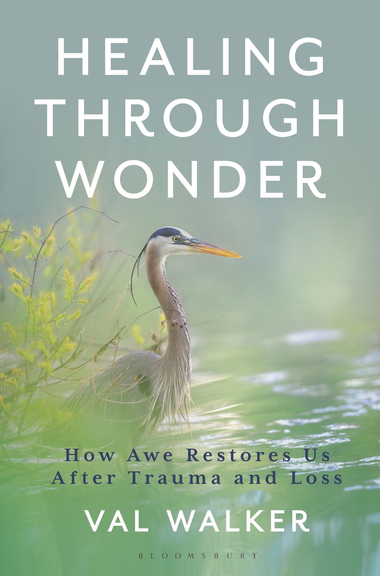 Healing Through Wonder: How Awe Restores Us After Trauma and Loss