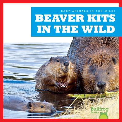 Beaver Kits in the Wild