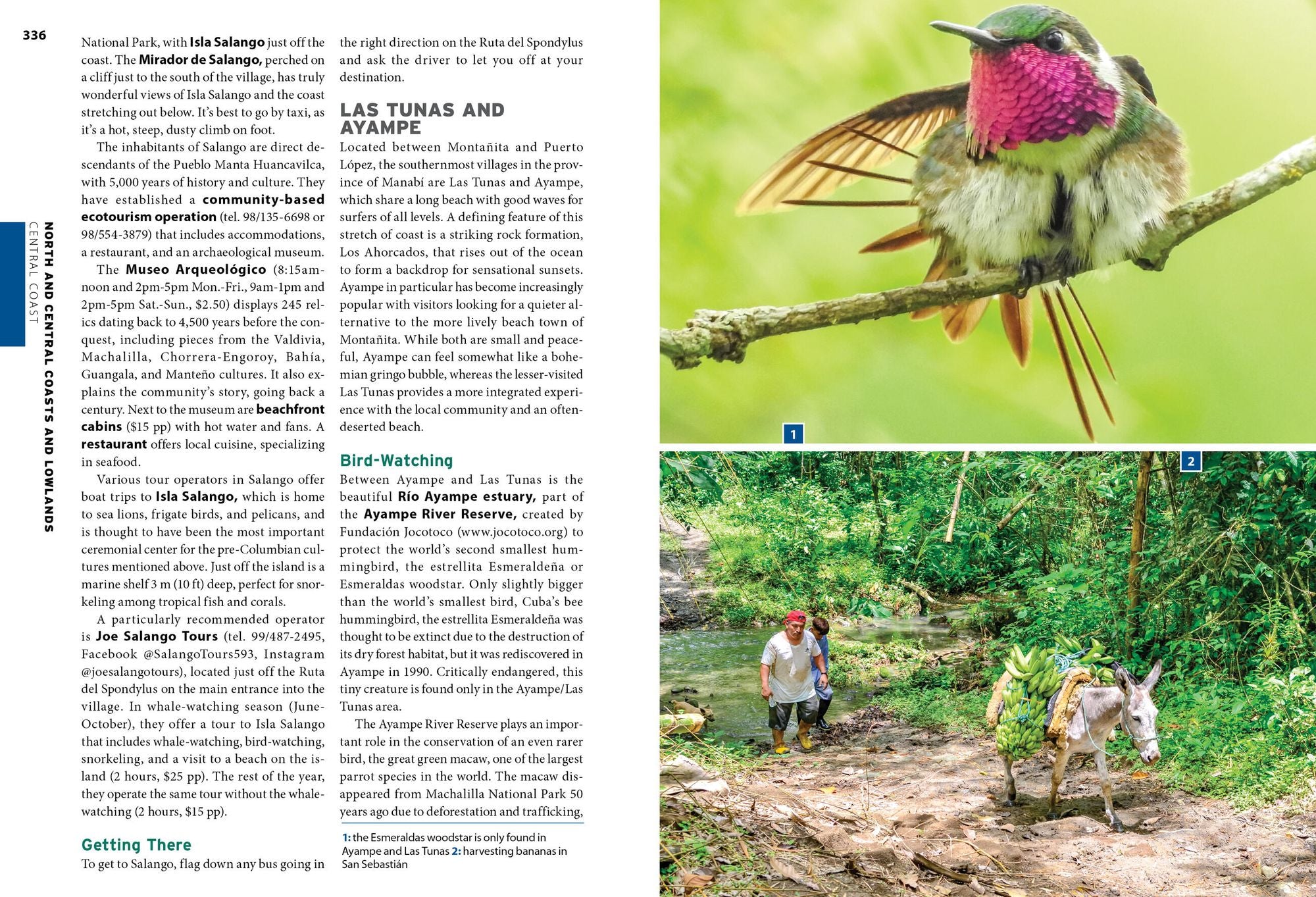 Moon Ecuador & the Galápagos Islands: Outdoor Adventure, Indigenous Culture, Sustainable Travel