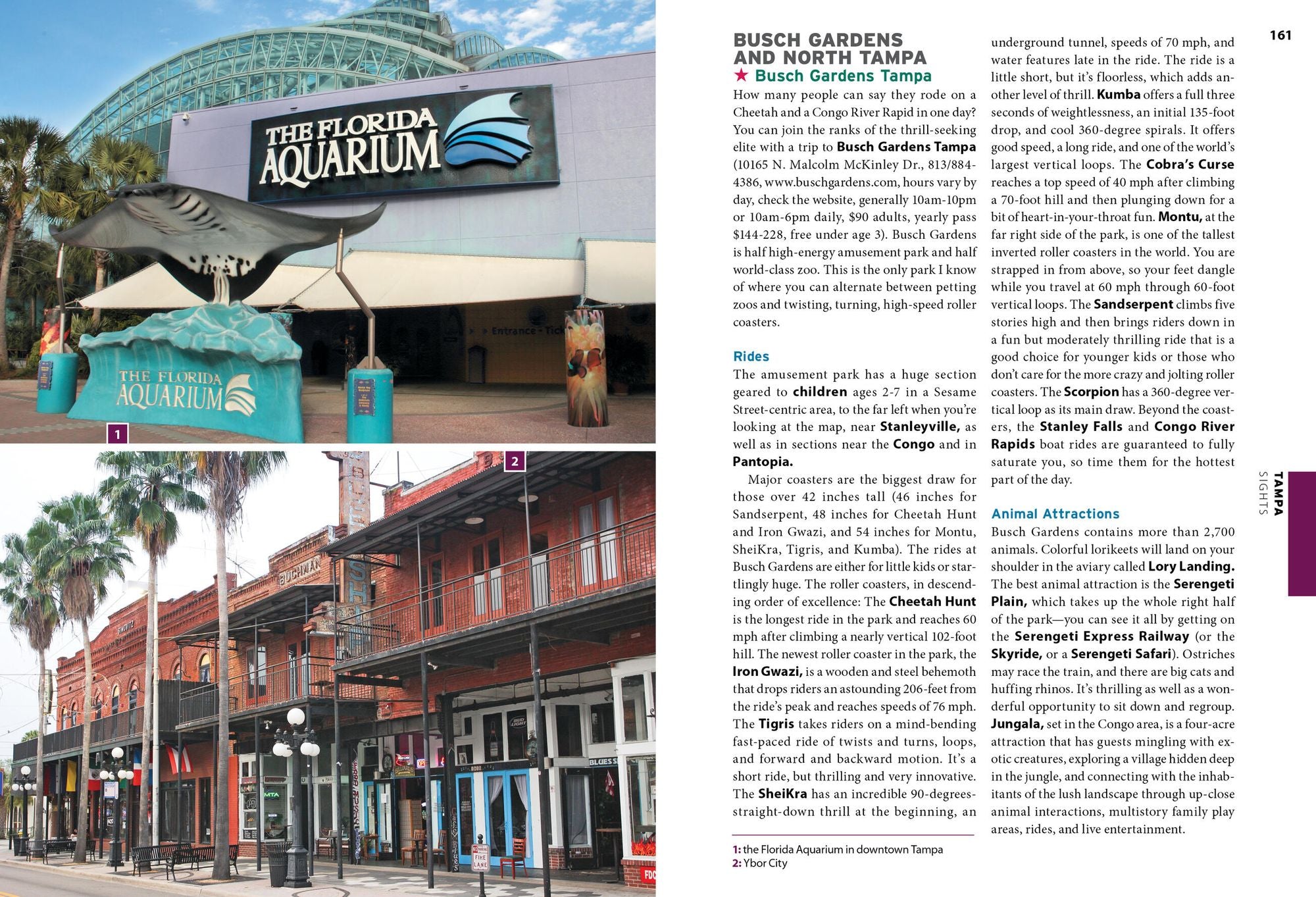 Moon Florida Gulf Coast: Best Beaches, Wildlife, Everglades Adventures