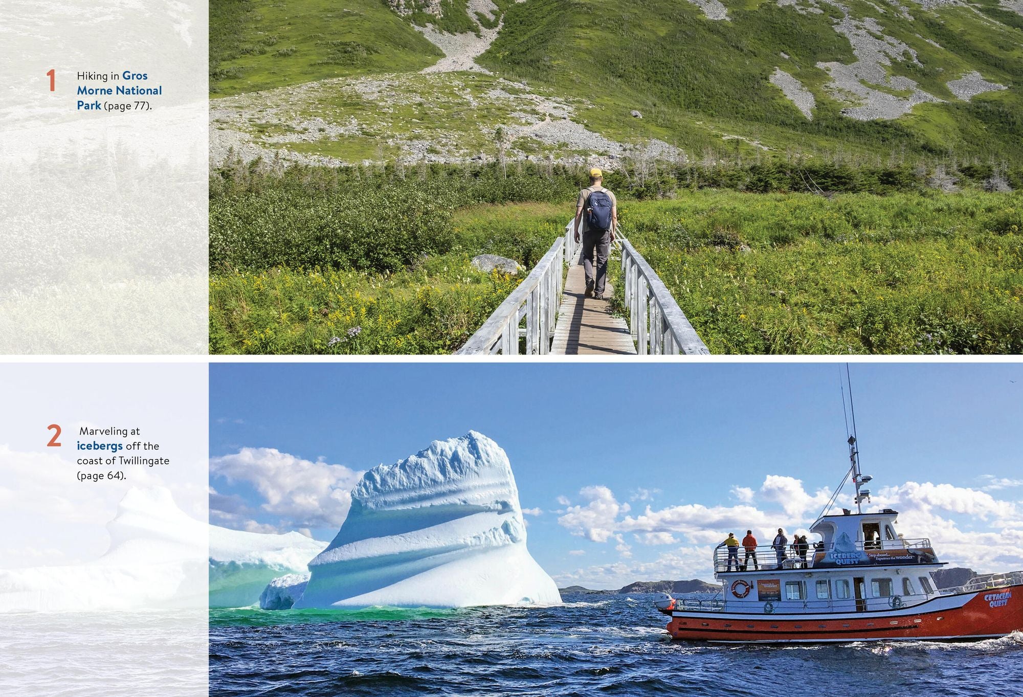Moon Newfoundland & Labrador: Wildlife-Watching, Iceberg Excursions, Viking Settlements
