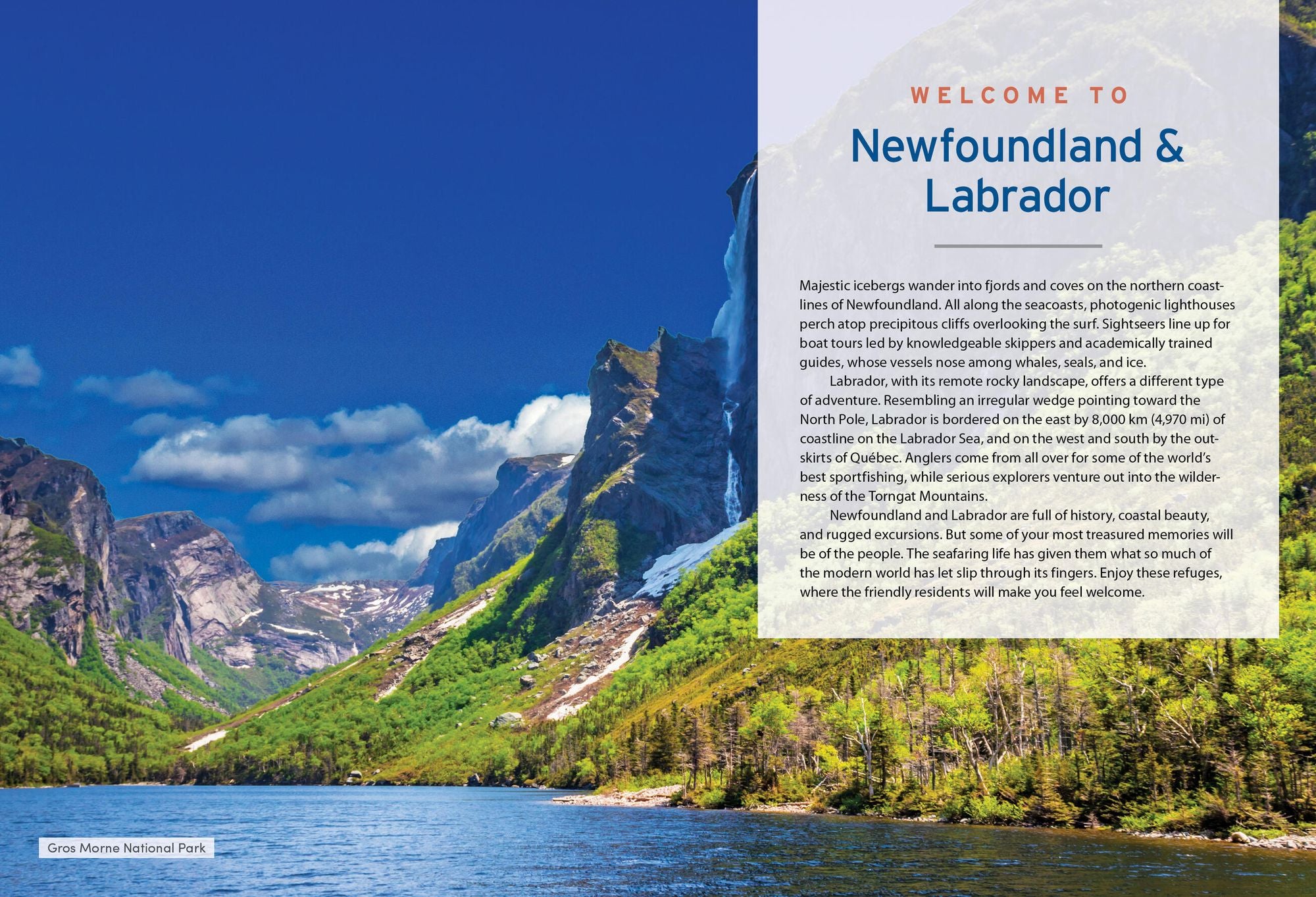 Moon Newfoundland & Labrador: Wildlife-Watching, Iceberg Excursions, Viking Settlements