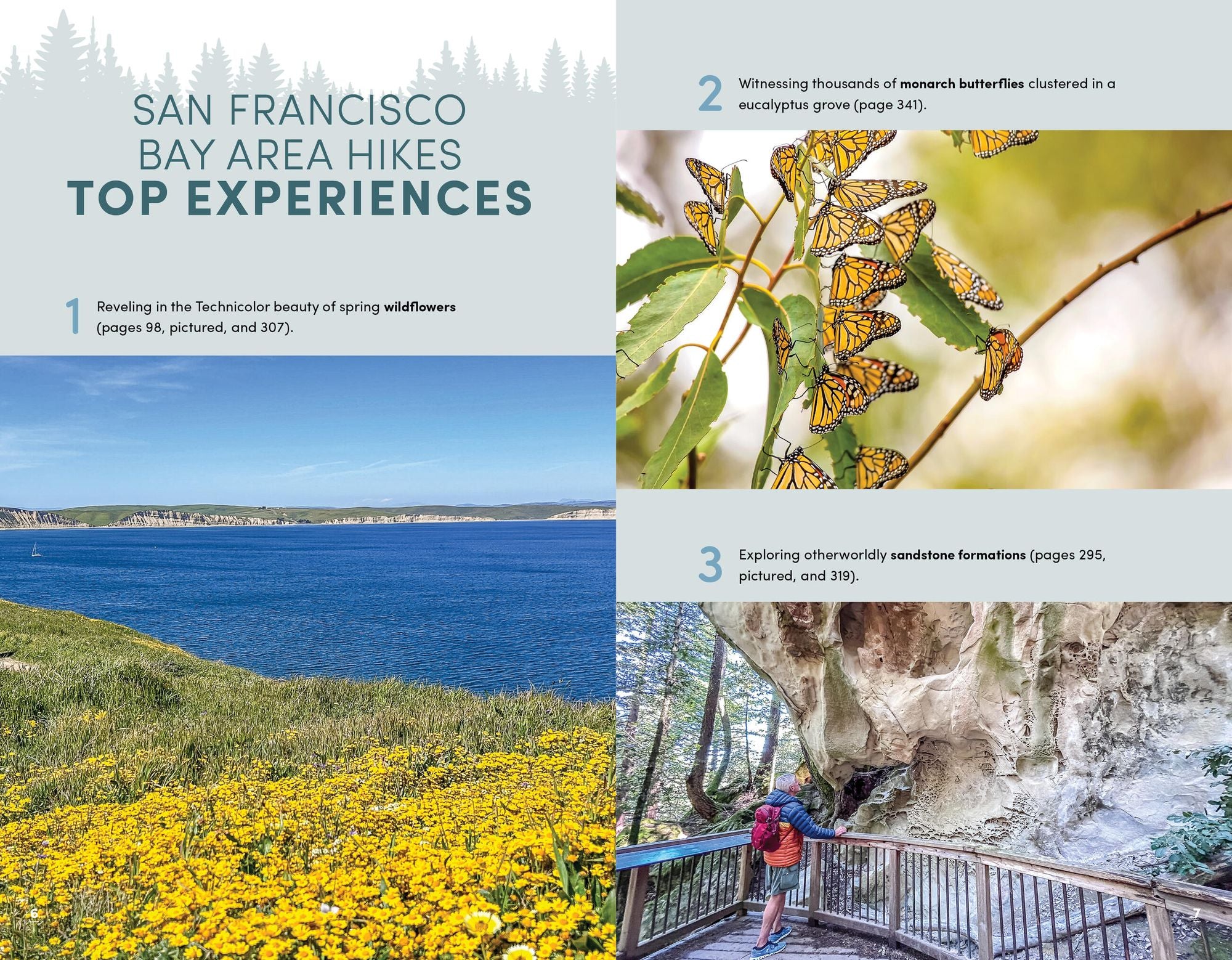 Moon 101 Great Hikes San Francisco Bay Area: Plus the Best Places to Eat, Drink, and Camp Nearby