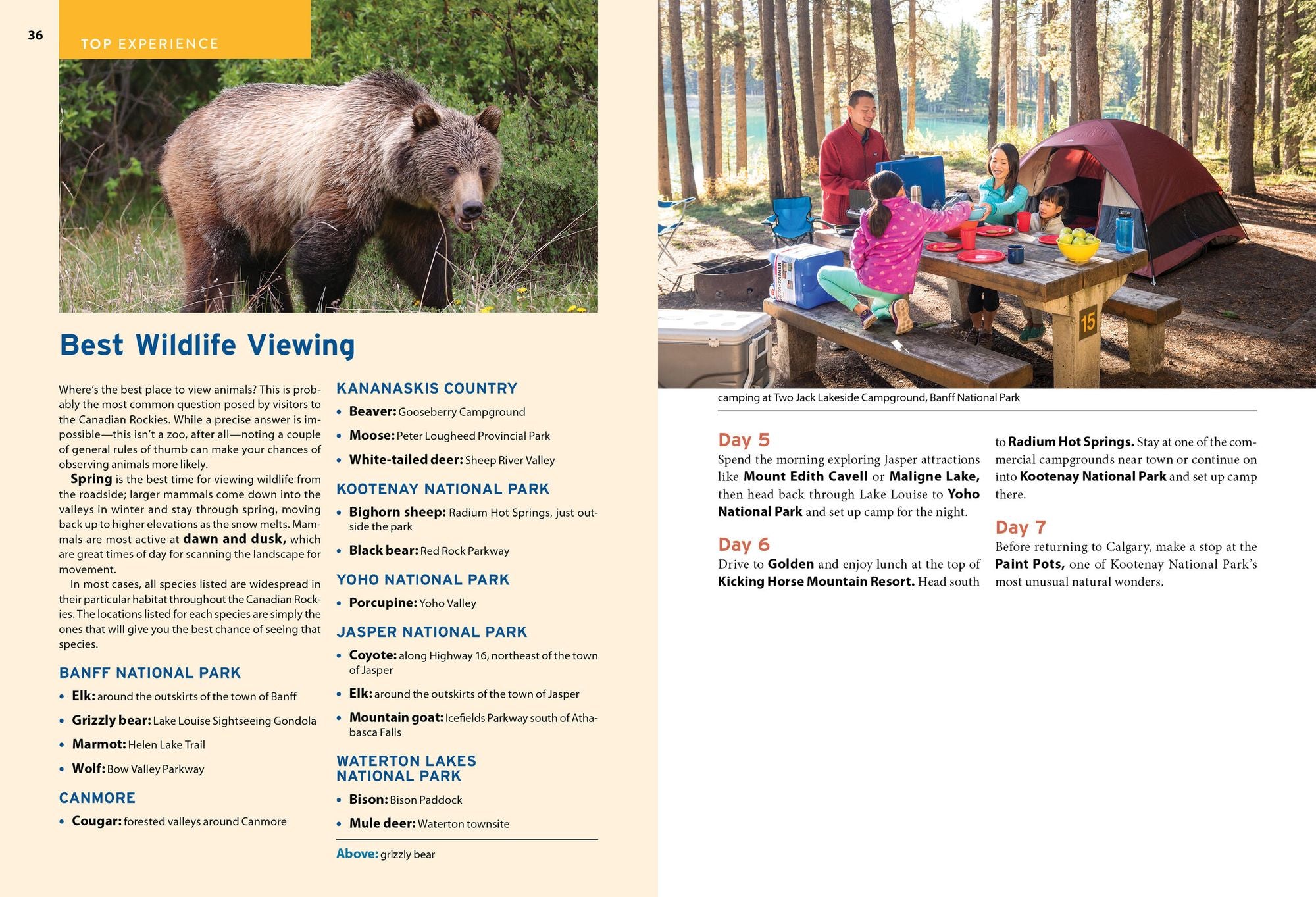 Moon Canadian Rockies: With Banff & Jasper National Parks: Scenic Drives, Wildlife, Hiking & Skiing