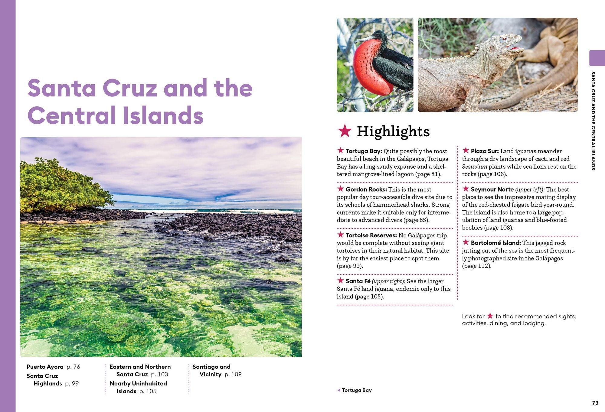 Moon Galápagos Islands: Wildlife, Snorkeling & Diving, Cruise & Tour Advice