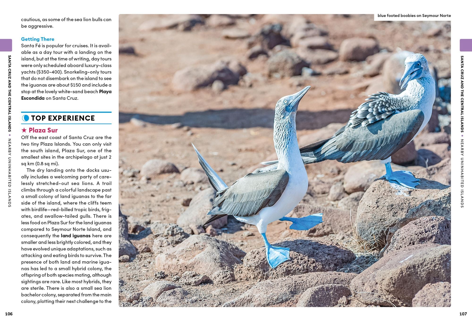 Moon Galápagos Islands: Wildlife, Snorkeling & Diving, Cruise & Tour Advice