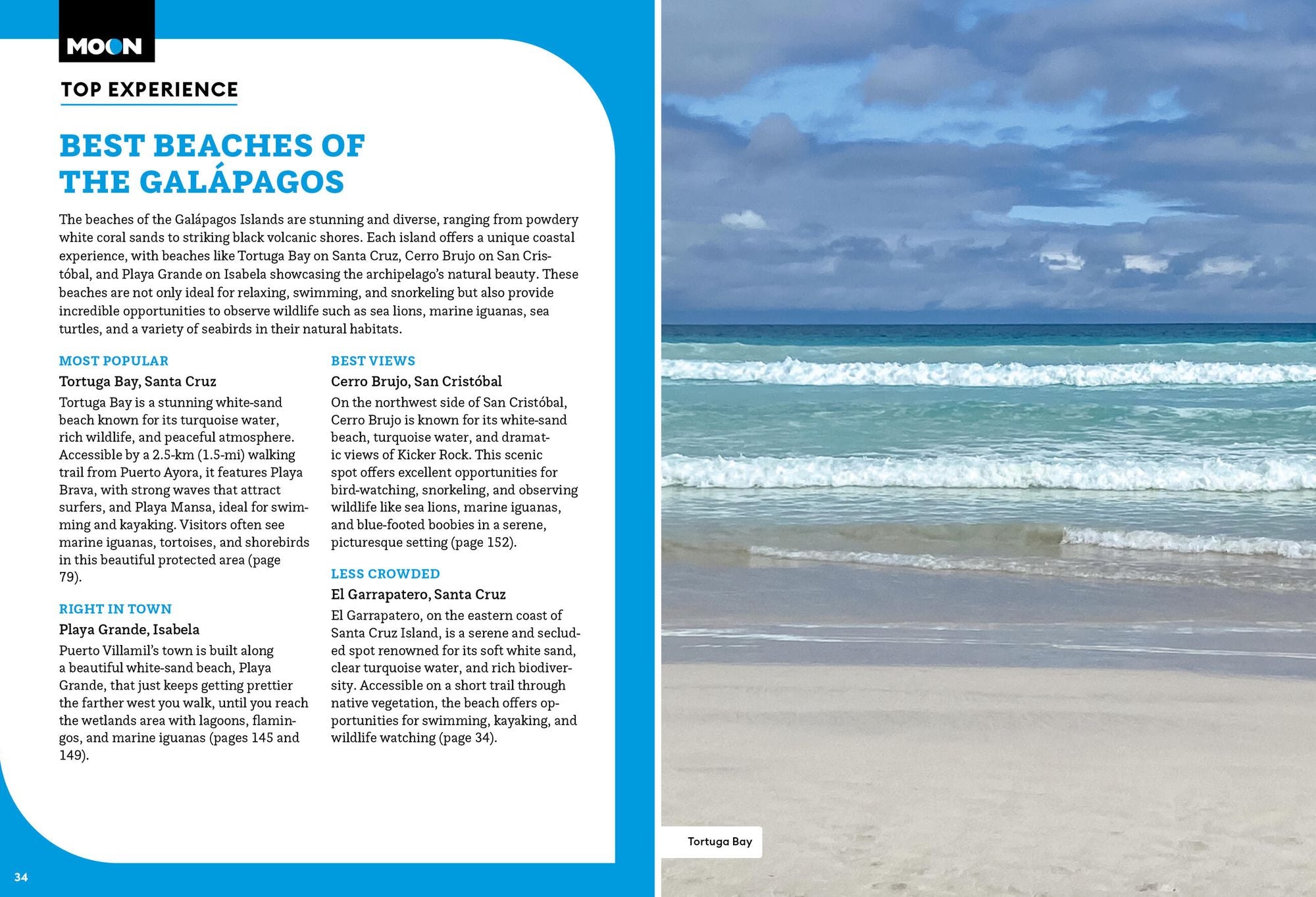 Moon Galápagos Islands: Wildlife, Snorkeling & Diving, Cruise & Tour Advice