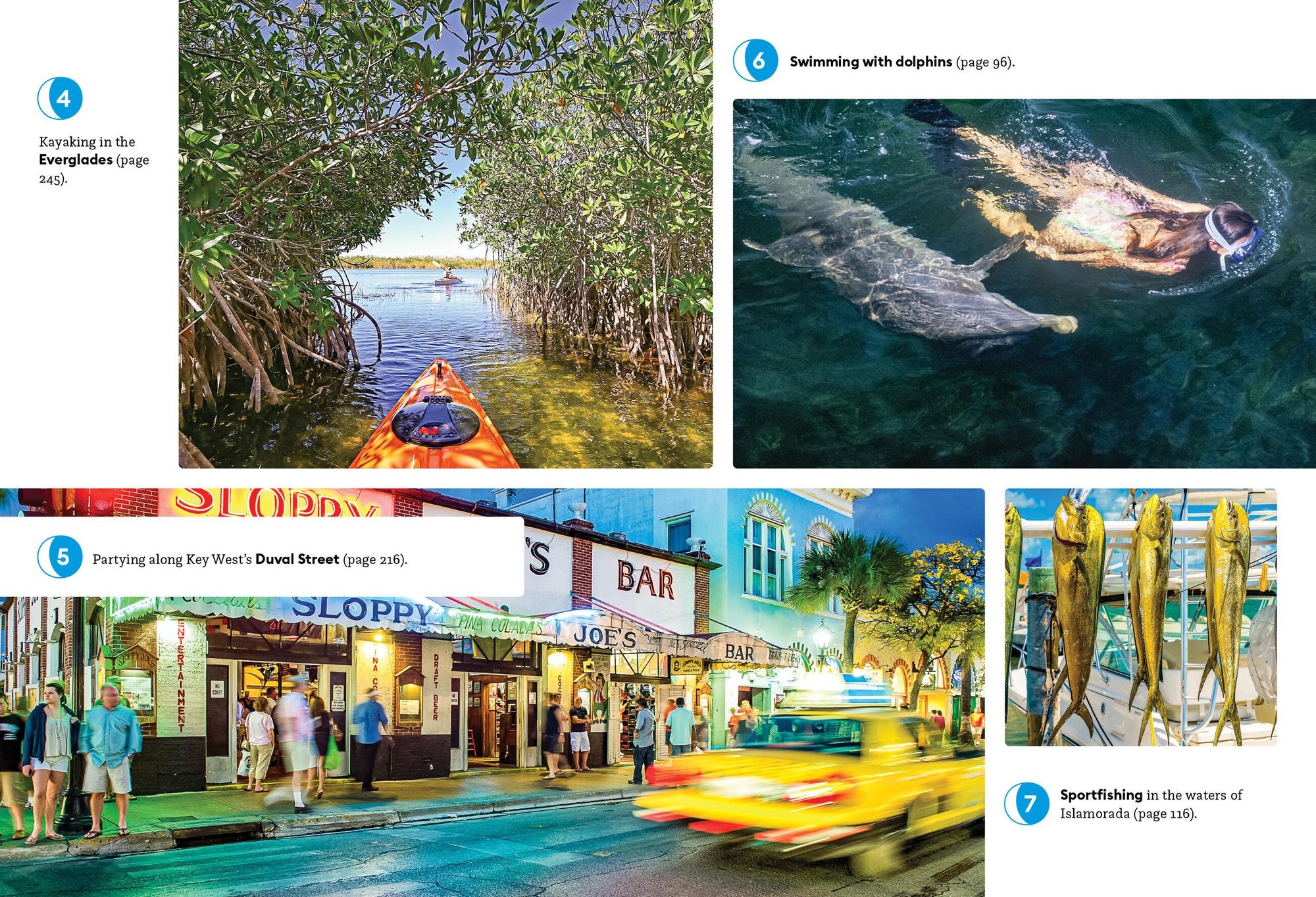 Moon Florida Keys: With Miami & the Everglades: Beach Getaways, Snorkeling & Diving, Wildlife