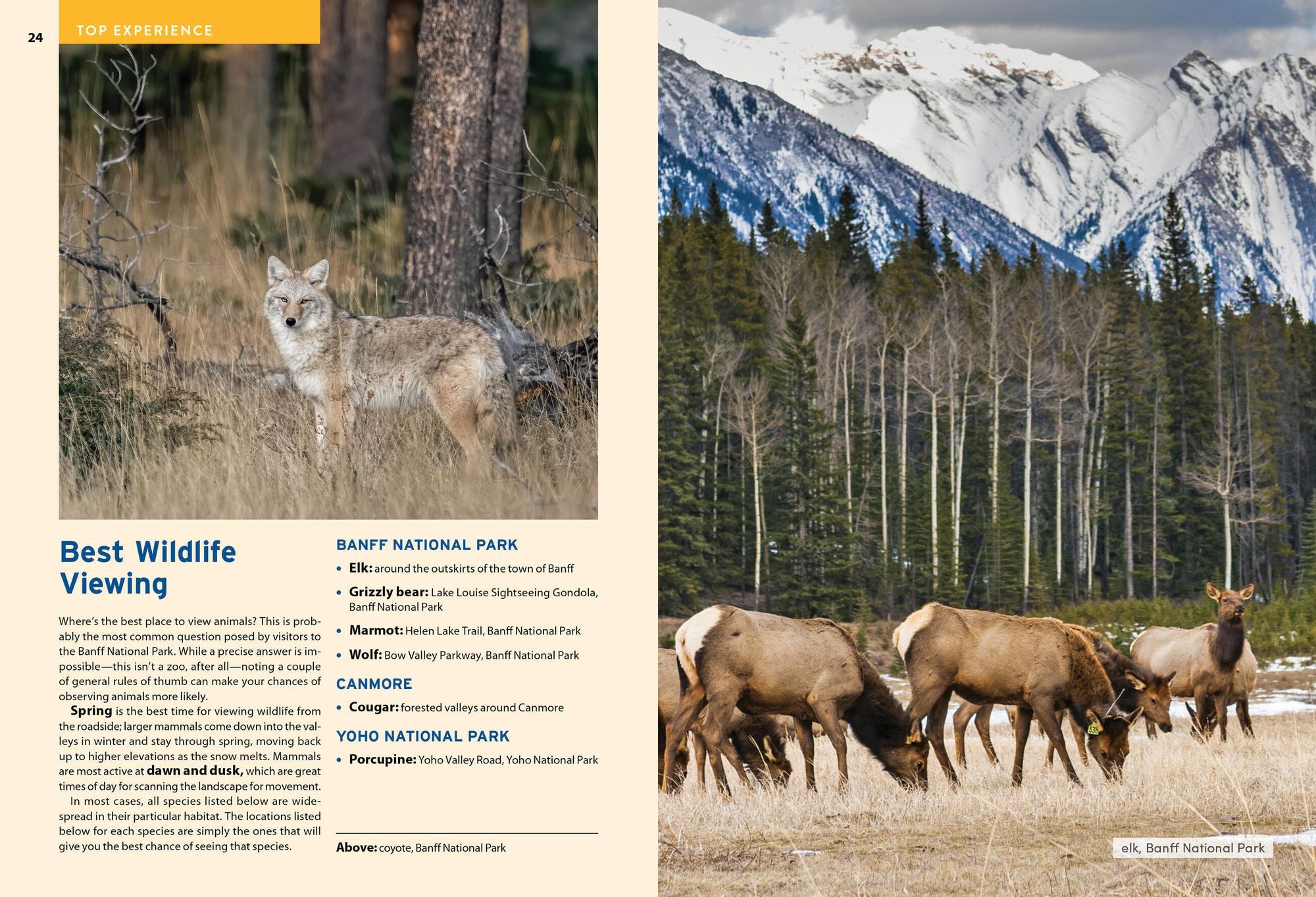 Moon Banff National Park: Scenic Drives, Wildlife, Hiking & Skiing