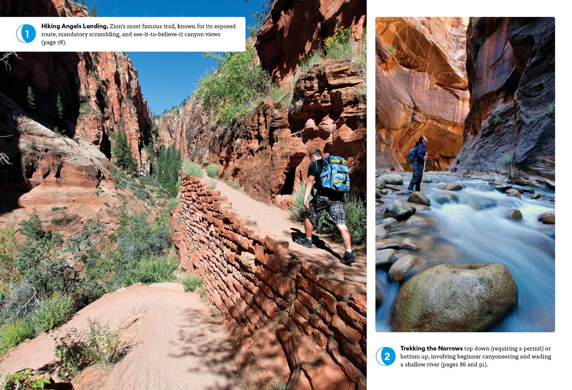 Moon Zion & Bryce: With Arches, Canyonlands & Capitol Reef: Hiking & Biking, Stargazing, Scenic Drives