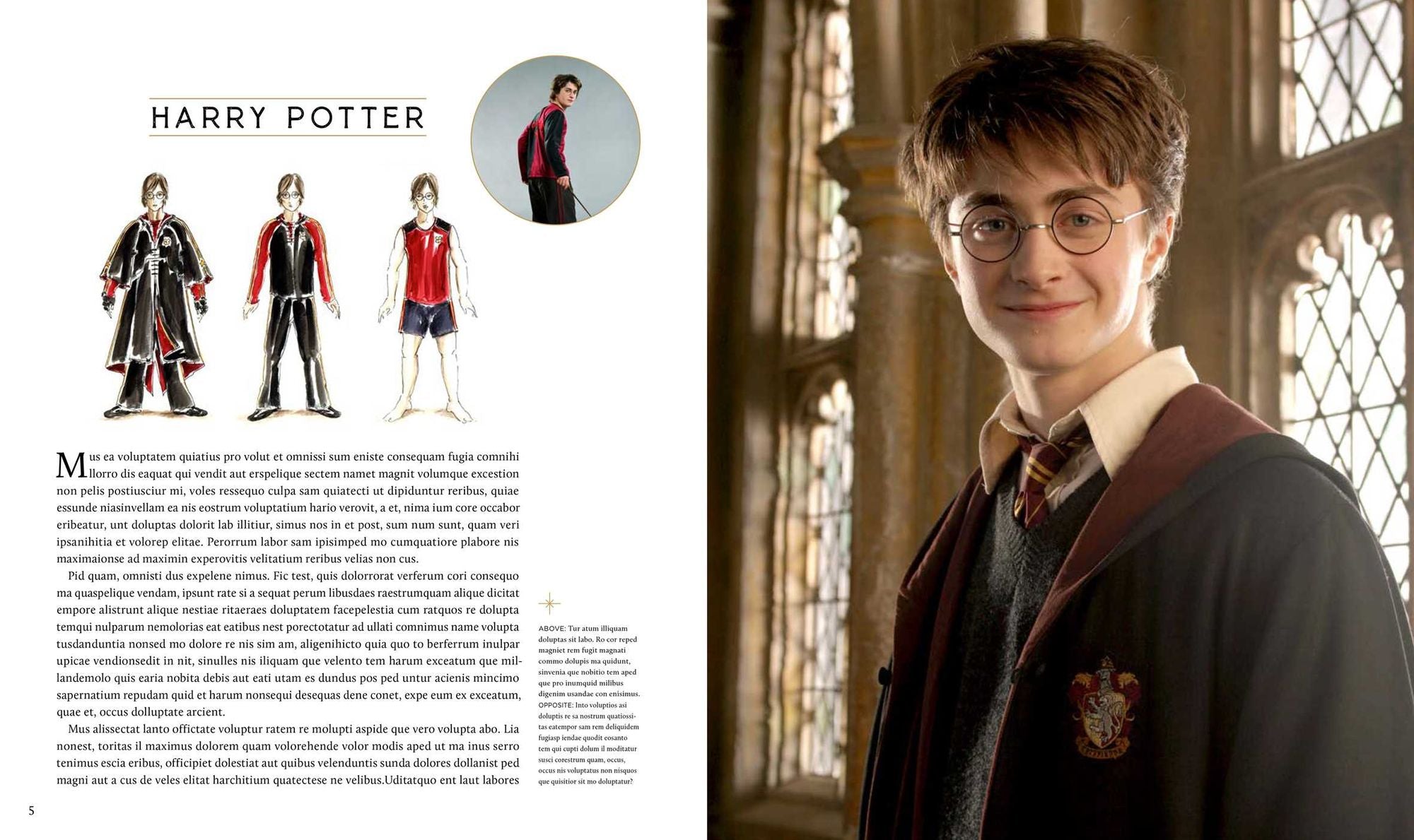 Harry Potter: Costumes of the Wizarding World