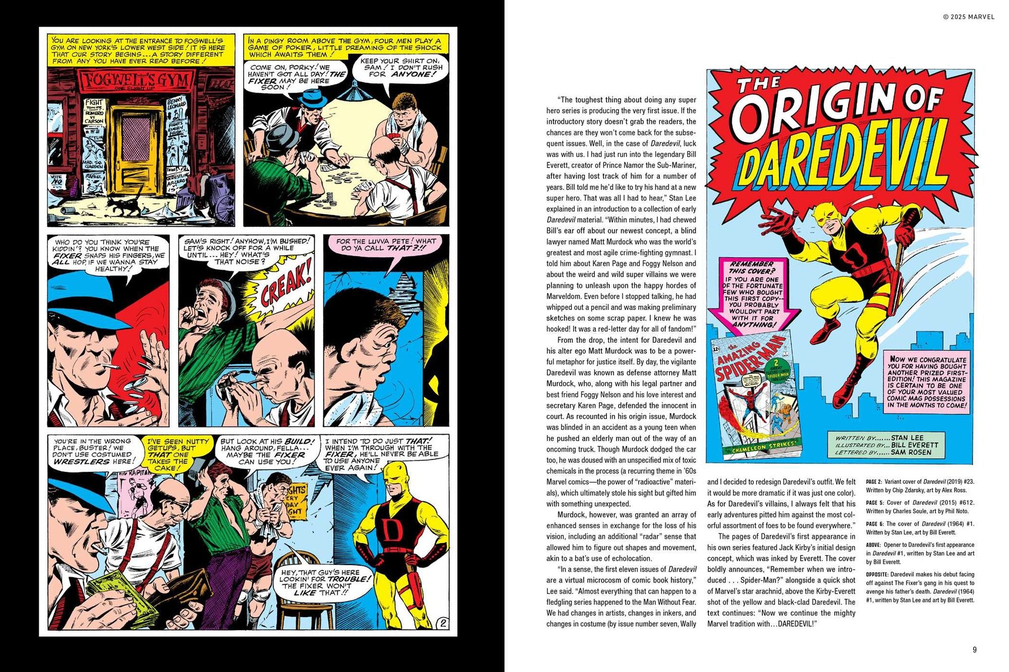 Marvel's Daredevil: The Illustrated History