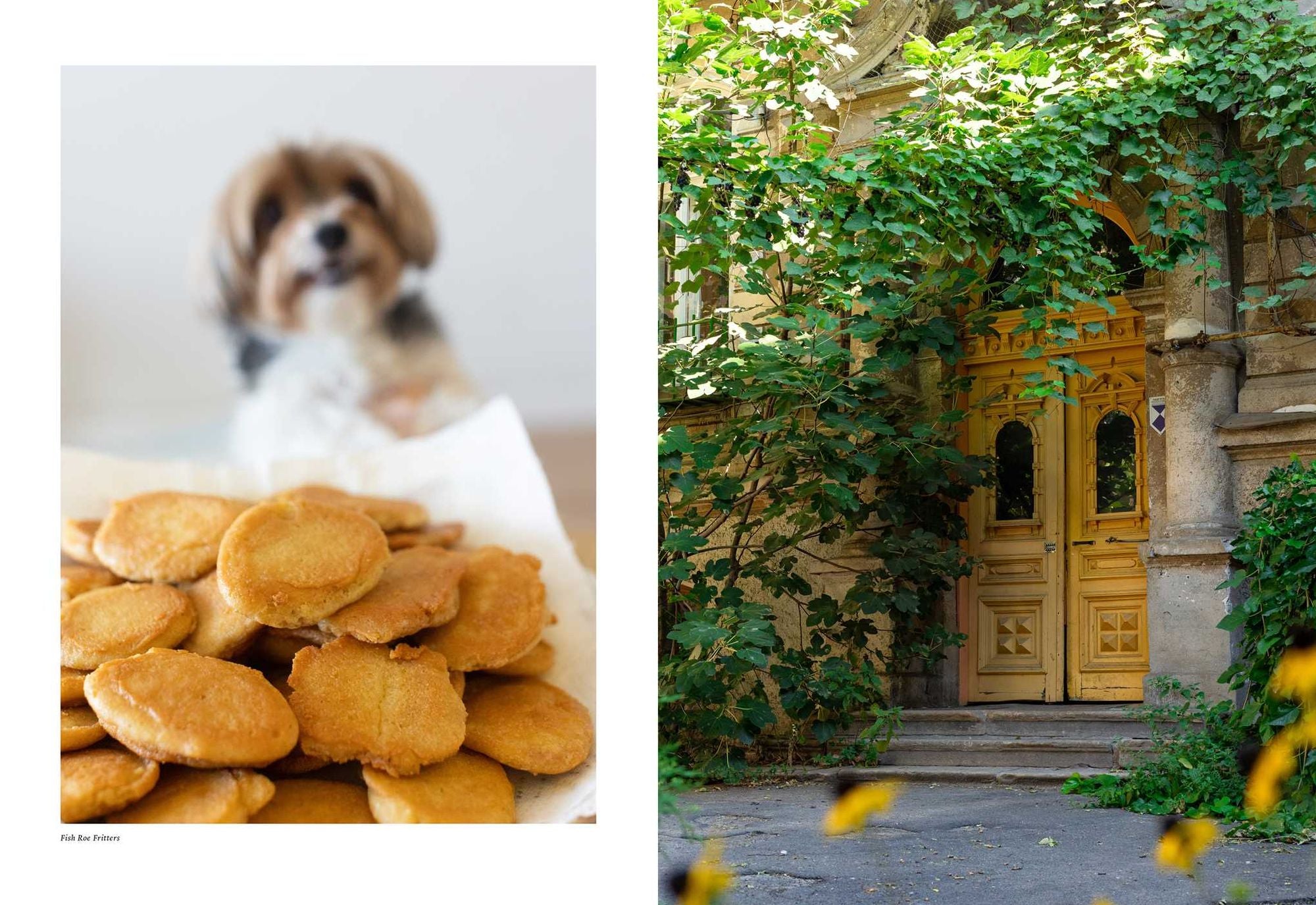 Cuisines of Odesa: A Ukrainian Cookbook