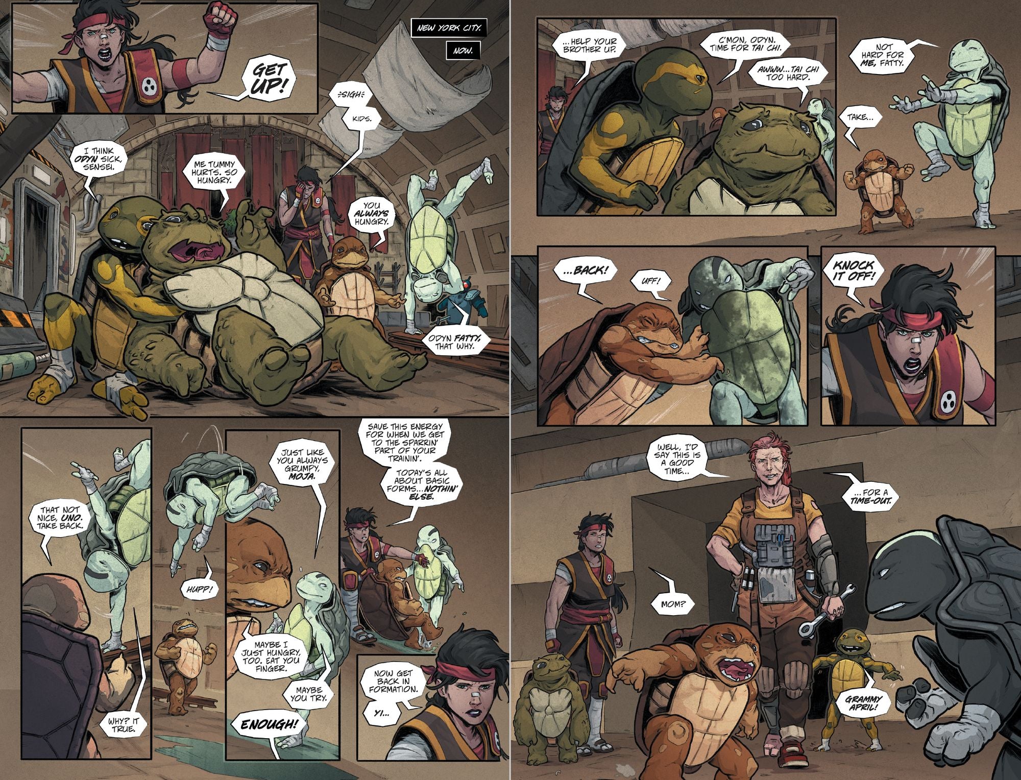 Teenage Mutant Ninja Turtles: The Last Ronin Box Set