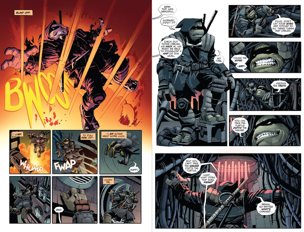 Teenage Mutant Ninja Turtles: The Last Ronin