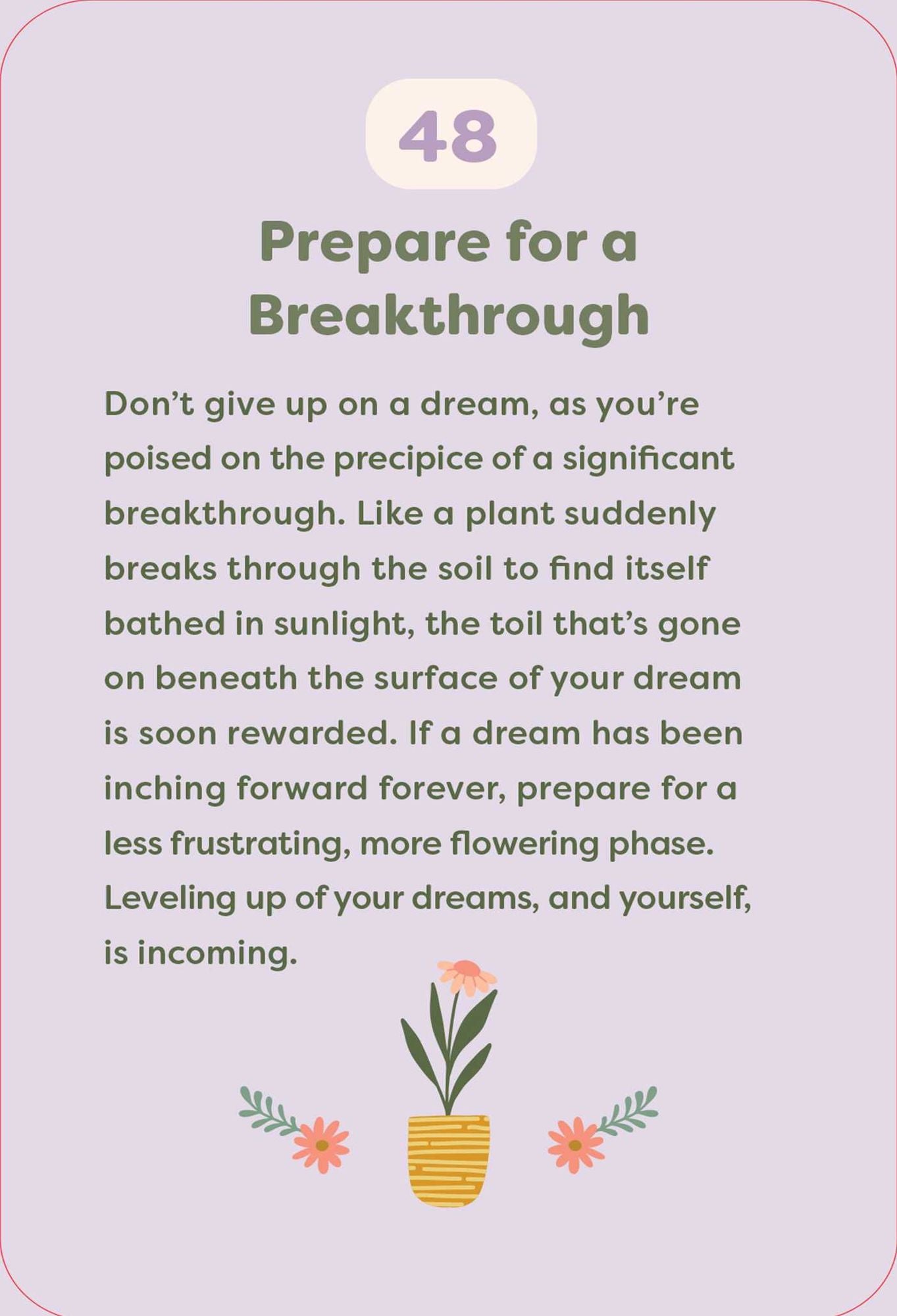 The Comforting Wisdom Oracle: A Cozy Companion for Life's Journey