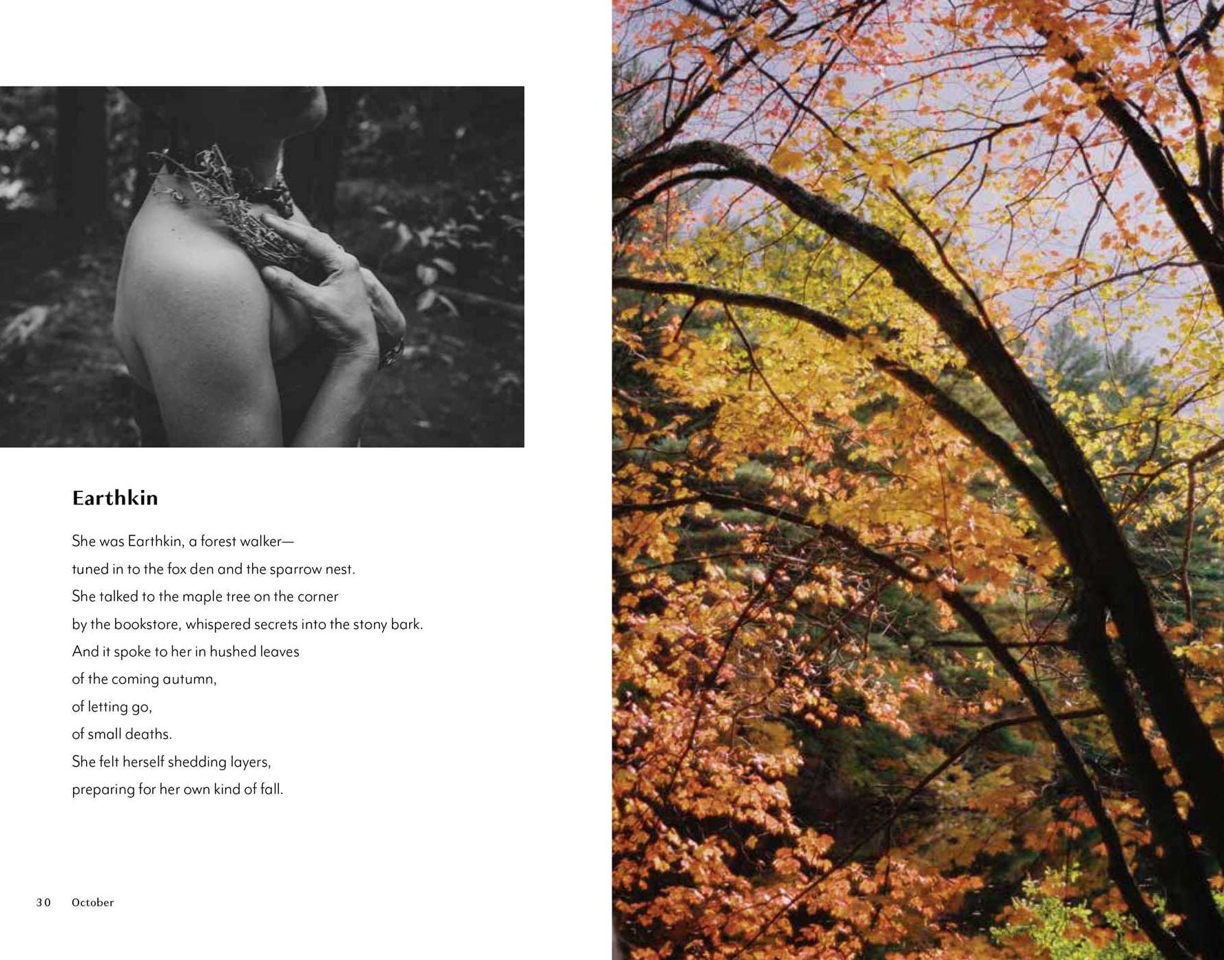 Quietly Wild: Poems, Photographs, and Rituals to Mark the Seasons
