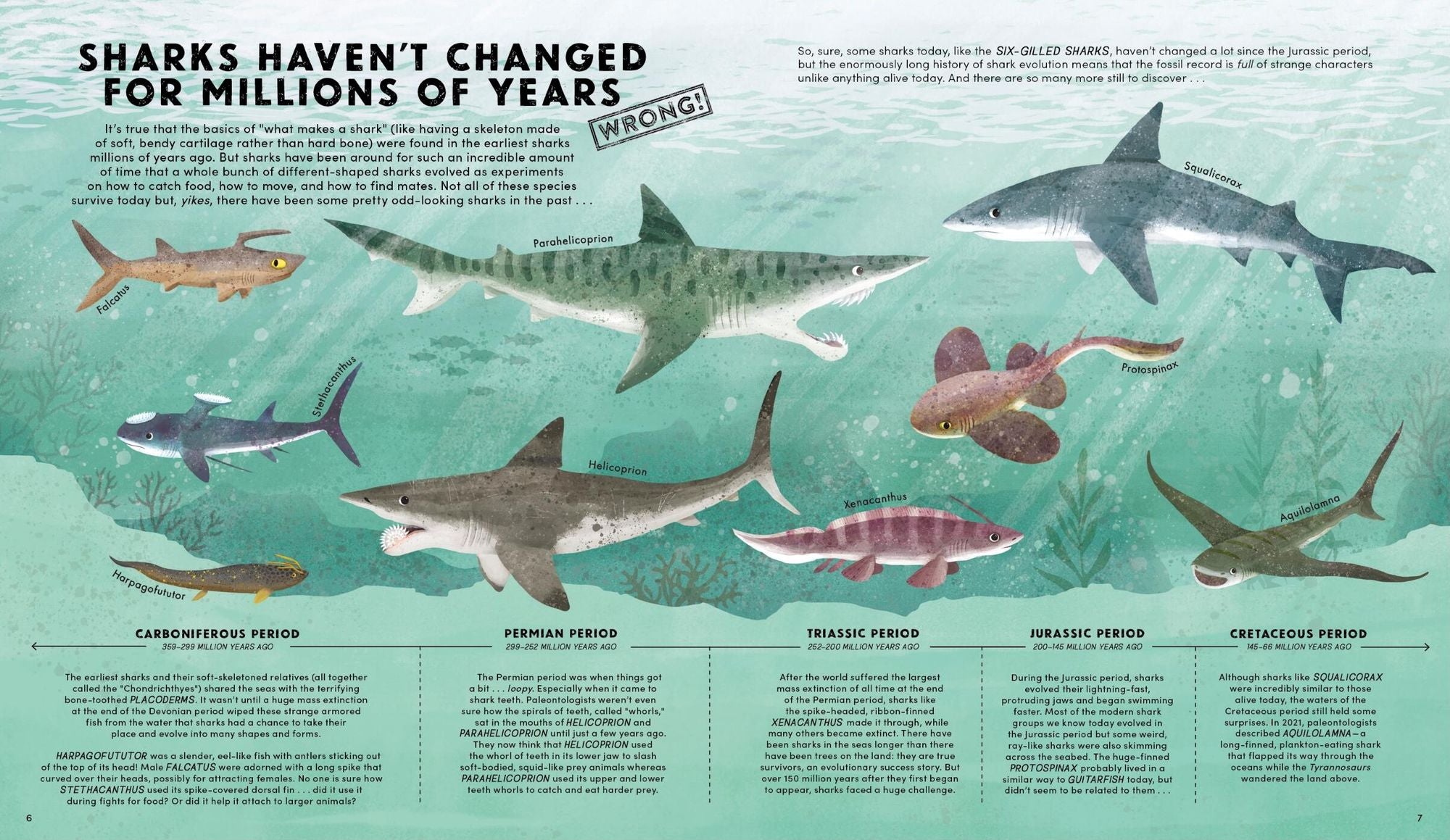 Everything You Know About Sharks Is Wrong!