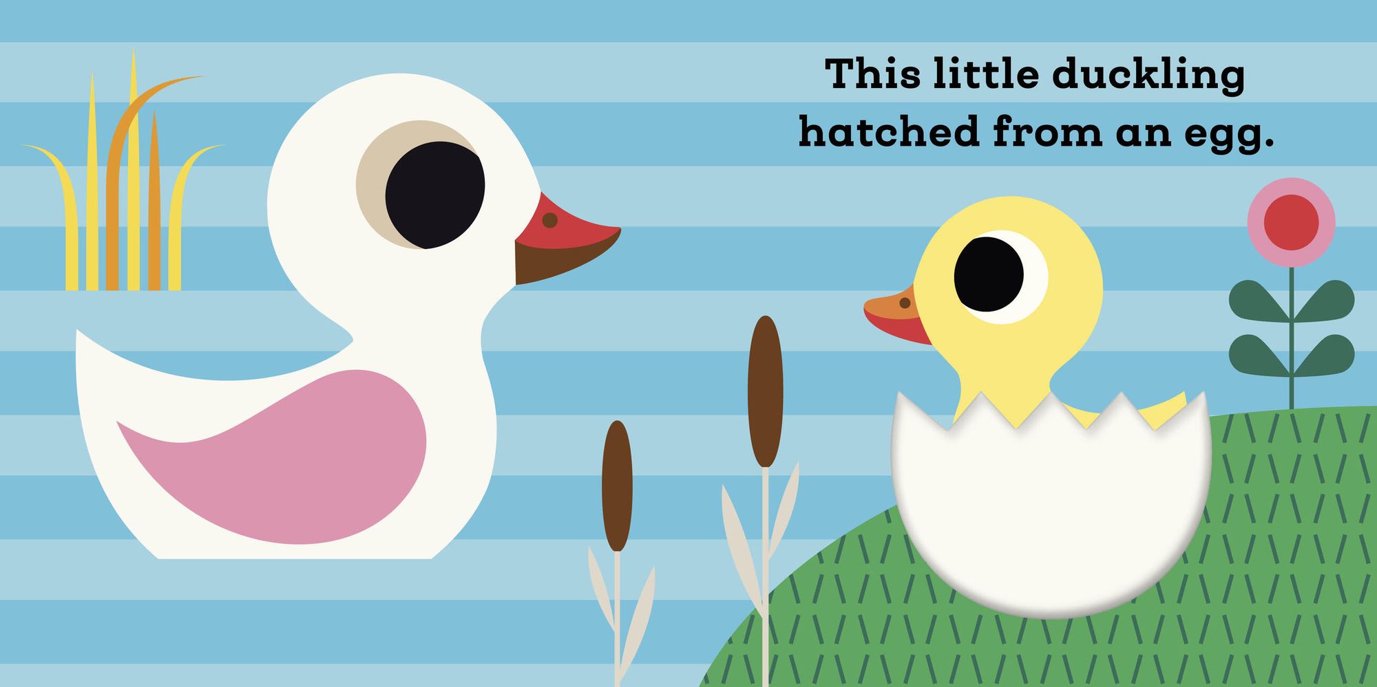 This Little Duckling: A Touch and Feel Book