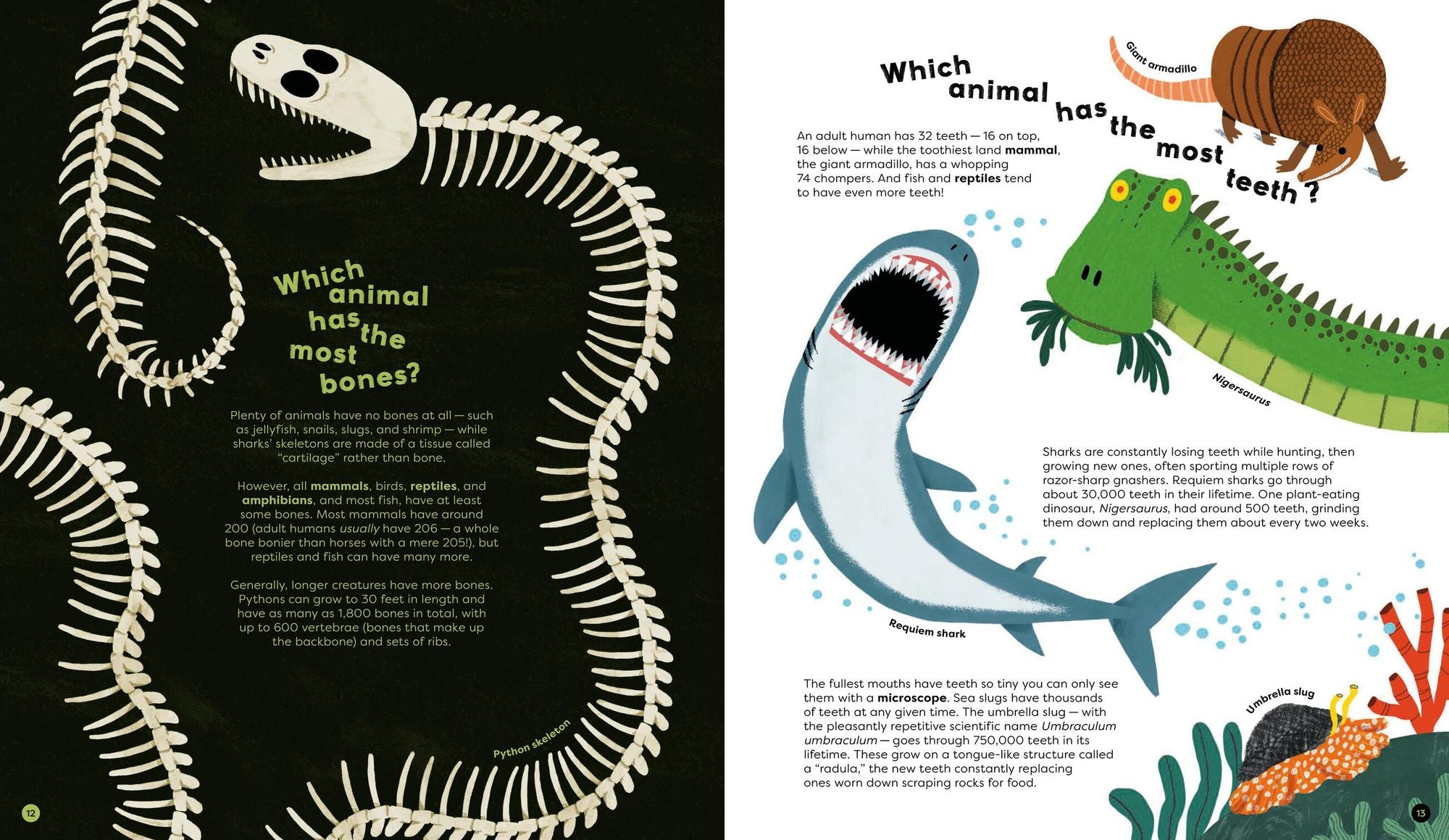 There Are No Silly Questions: More than 200 Weird and Wacky Questions, Expertly Answered!