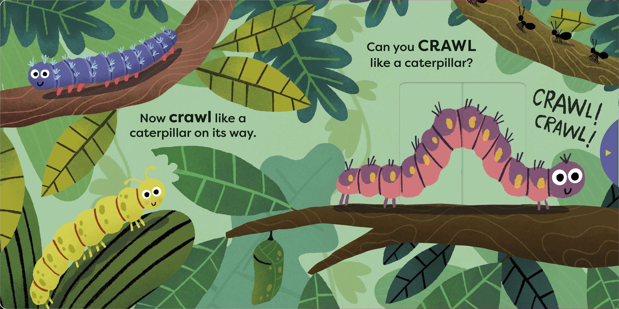 Animal Actions: Buzz Like a Bee