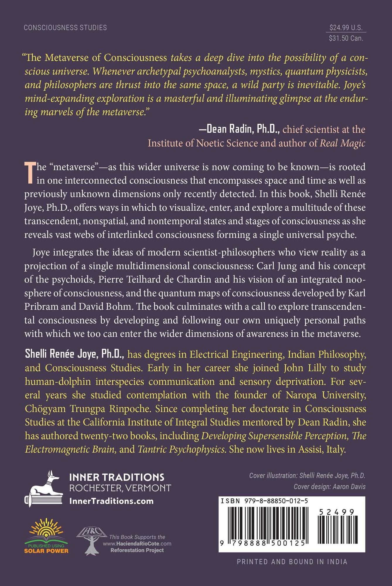 The Metaverse of Consciousness: Mapping the Multiple Dimensions of Reality