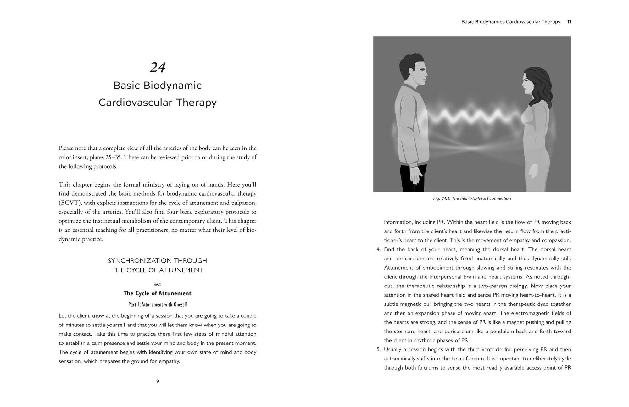The Biodynamic Heart: Somatic Compassion Practices for a Clear and Vital Heart