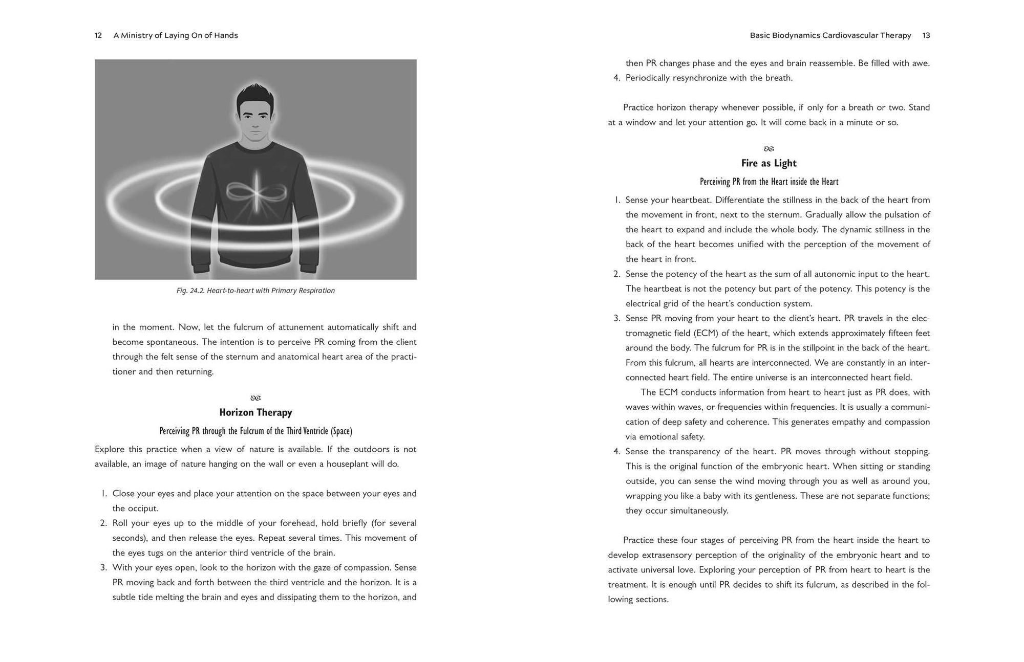 The Biodynamic Heart: Somatic Compassion Practices for a Clear and Vital Heart