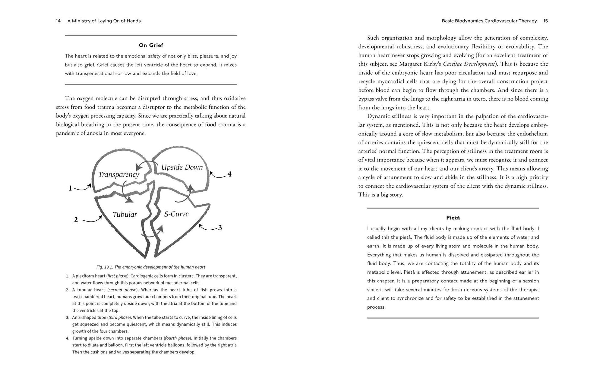 The Biodynamic Heart: Somatic Compassion Practices for a Clear and Vital Heart