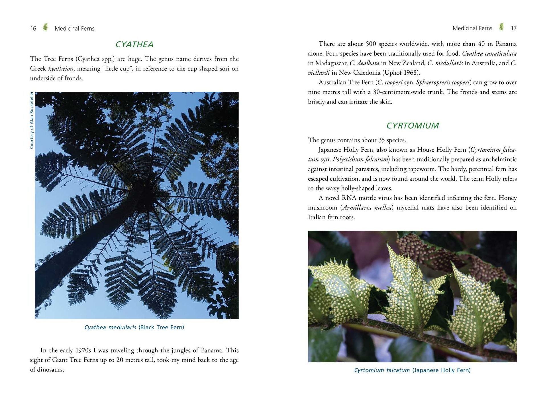 The Fern Pharmacy: Indigenous Wisdom and Modern Pharmacology