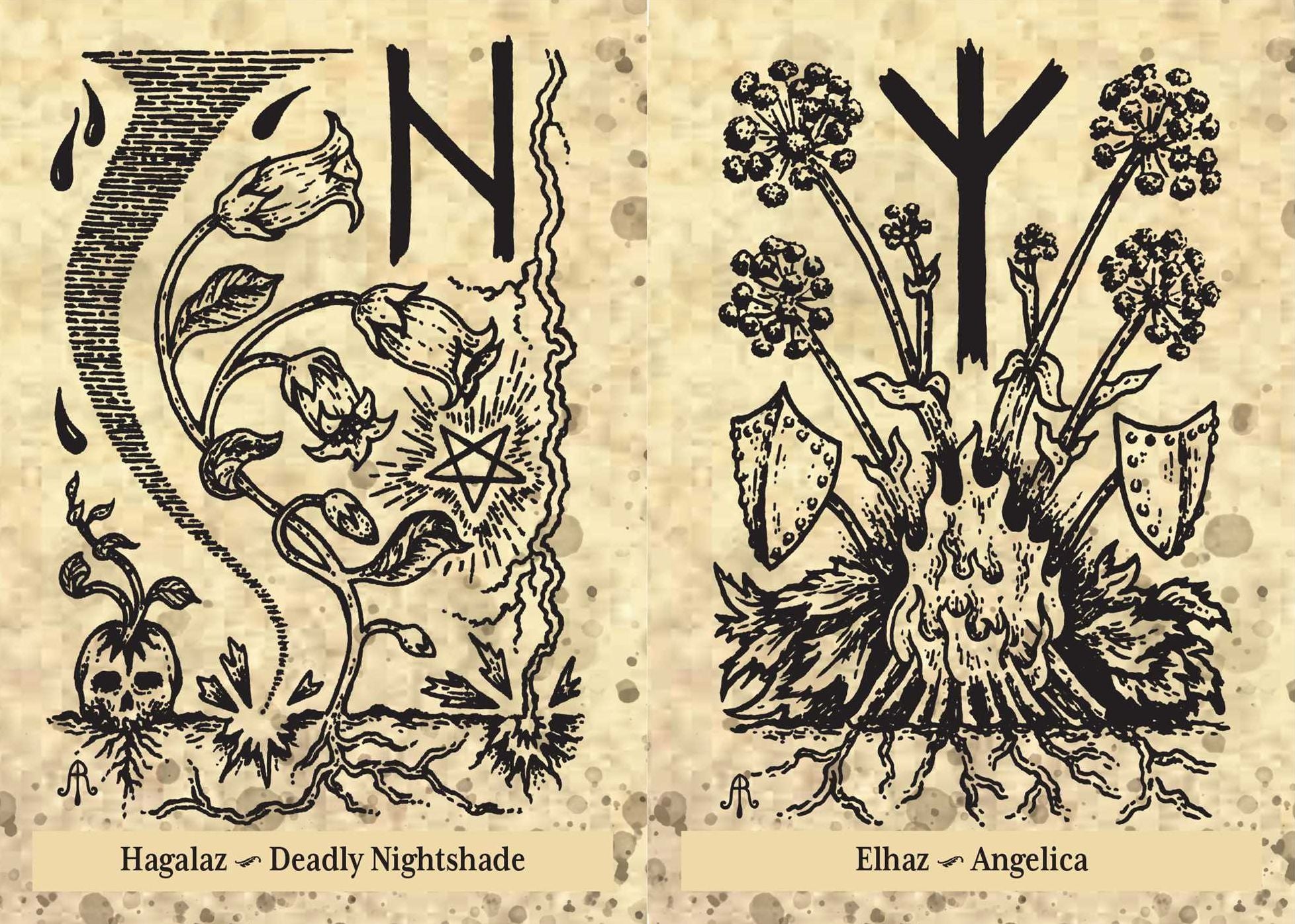 The Runes and Roots Oracle: A 36-Card Deck and Guidebook