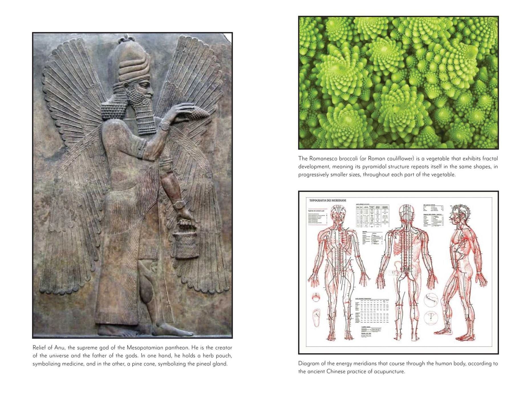Awakening the Pineal Gland: Cellular Rejuvenation through Light and Sound