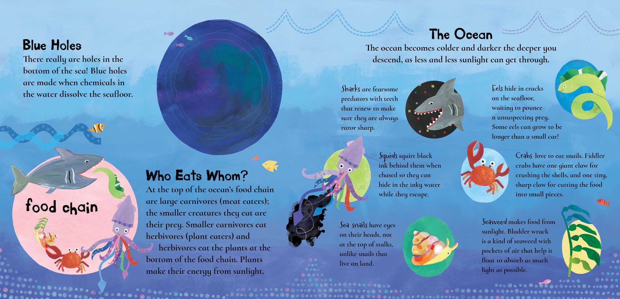 Barefoot Baby-Proof: A Hole in the Bottom of the Sea