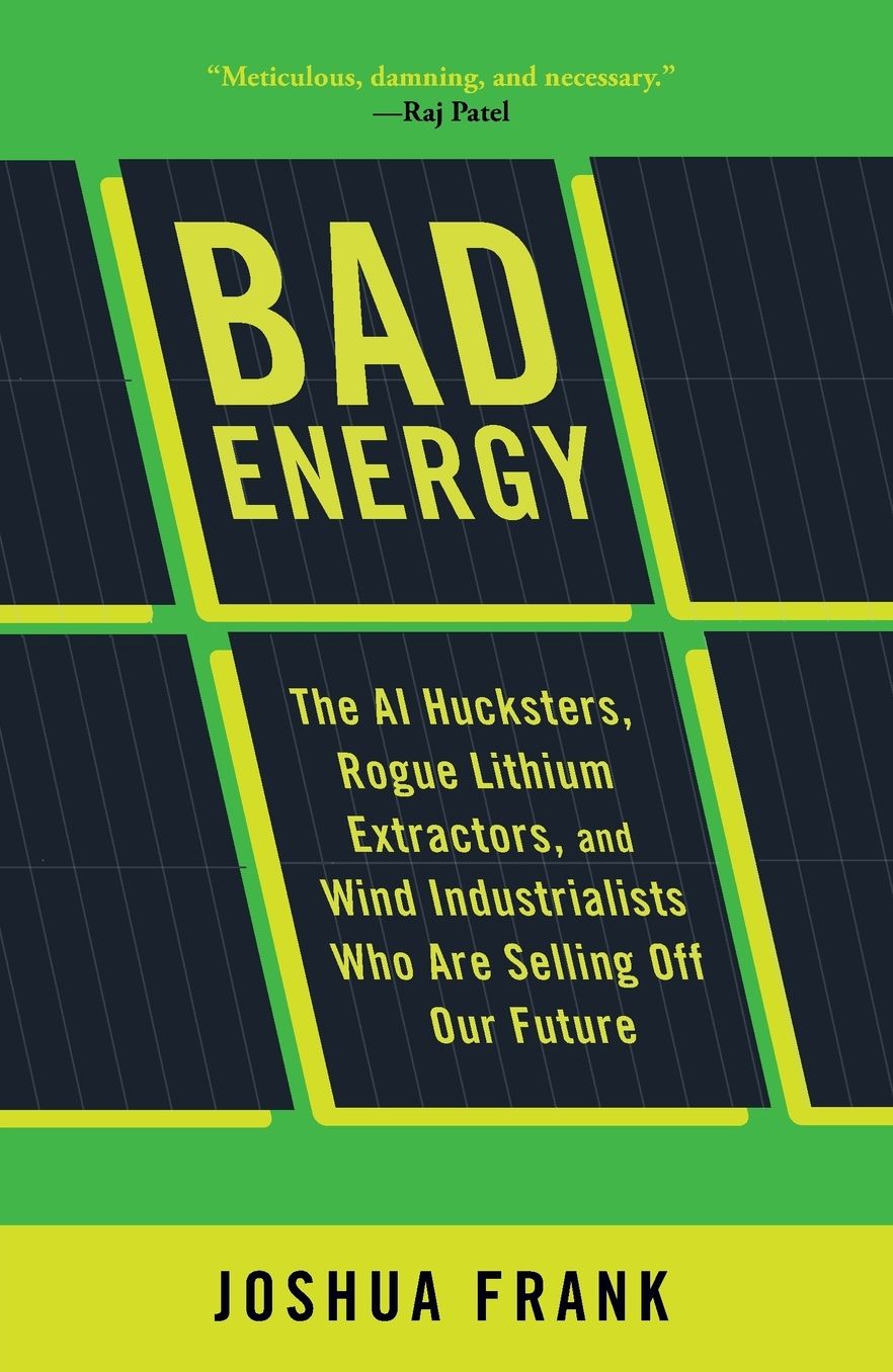 Bad Energy: The AI Hucksters, Rogue Lithium Extractors, and Wind Industrialists Who Are Selling Off Our Future
